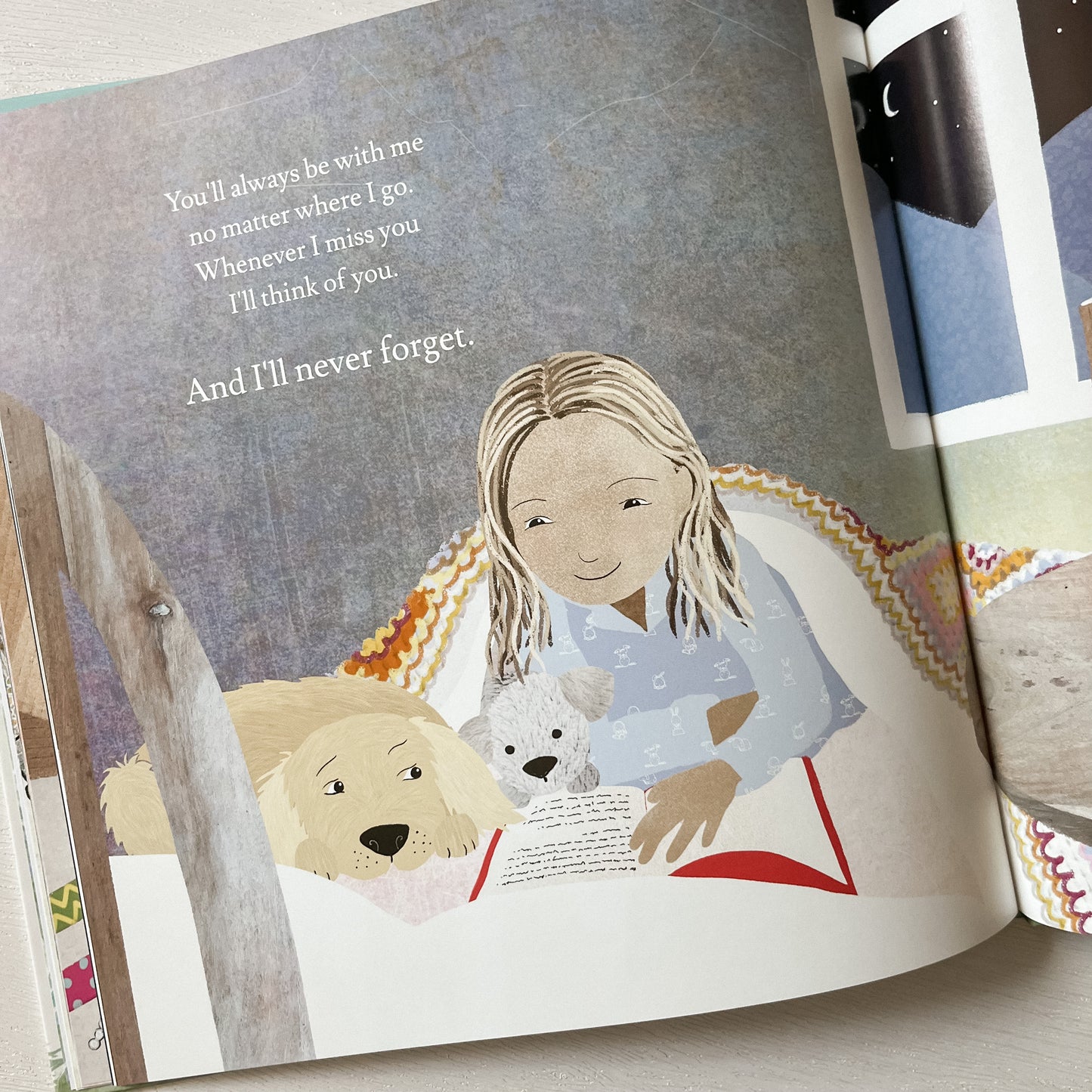 The Memory Box: A Book About Grief