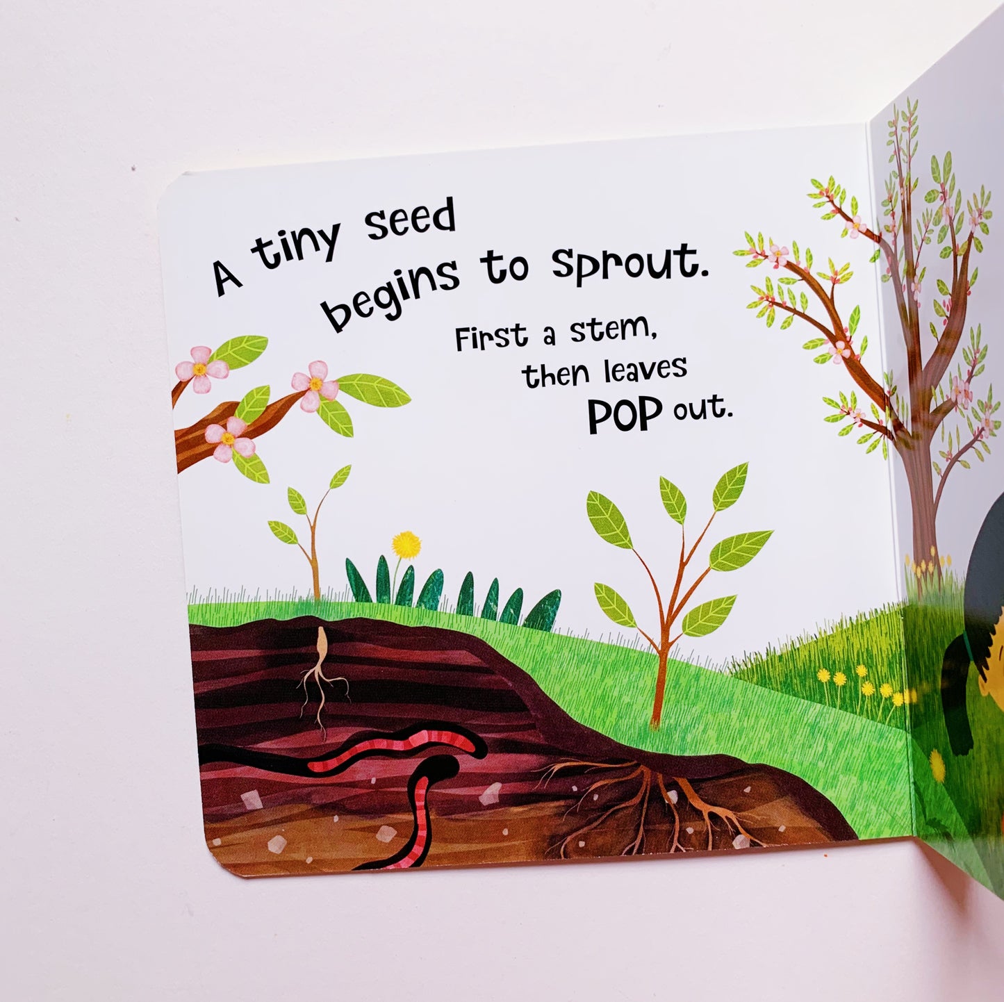 God Grows Our World