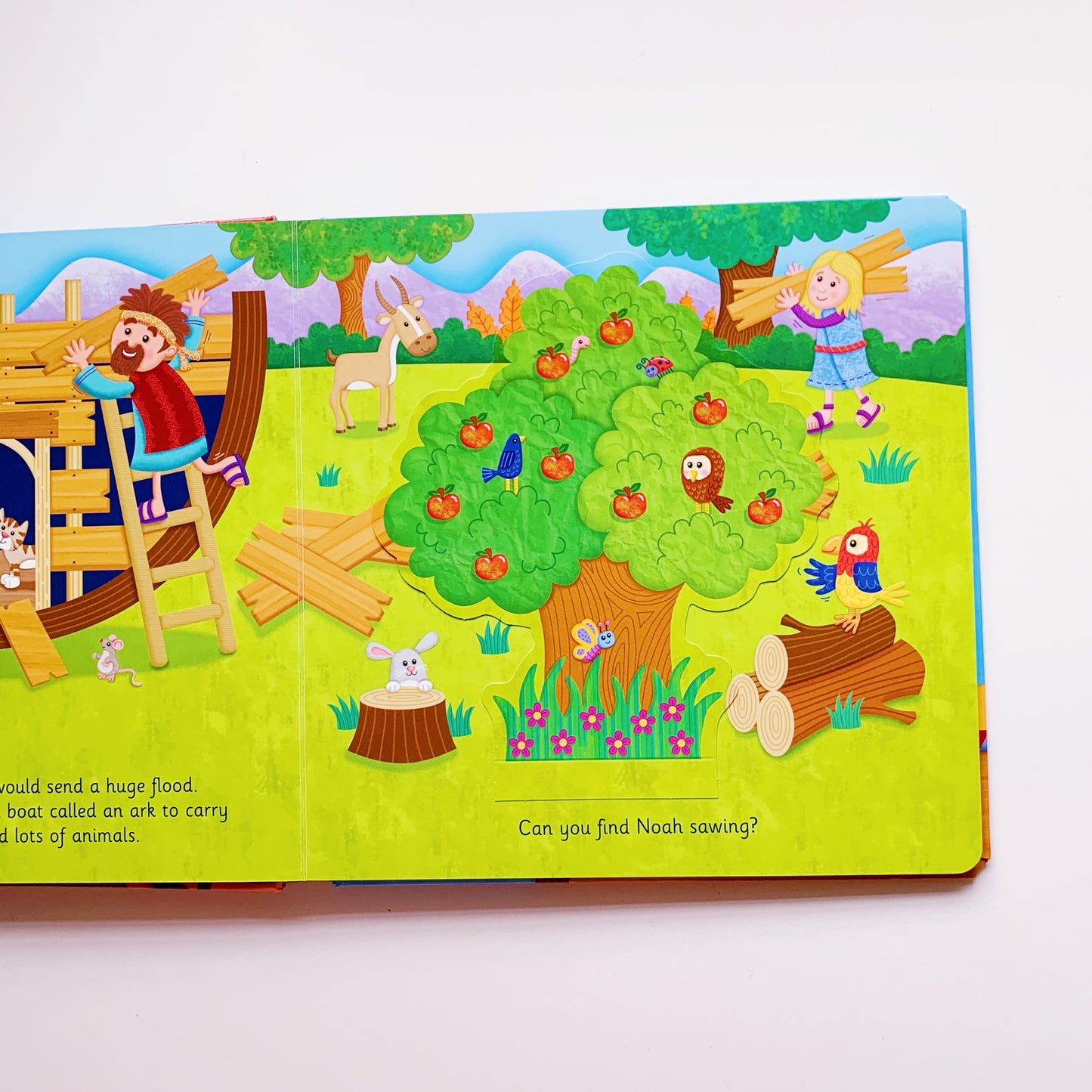 Noah's Amazing Ark: Lift-the-Flap Adventure