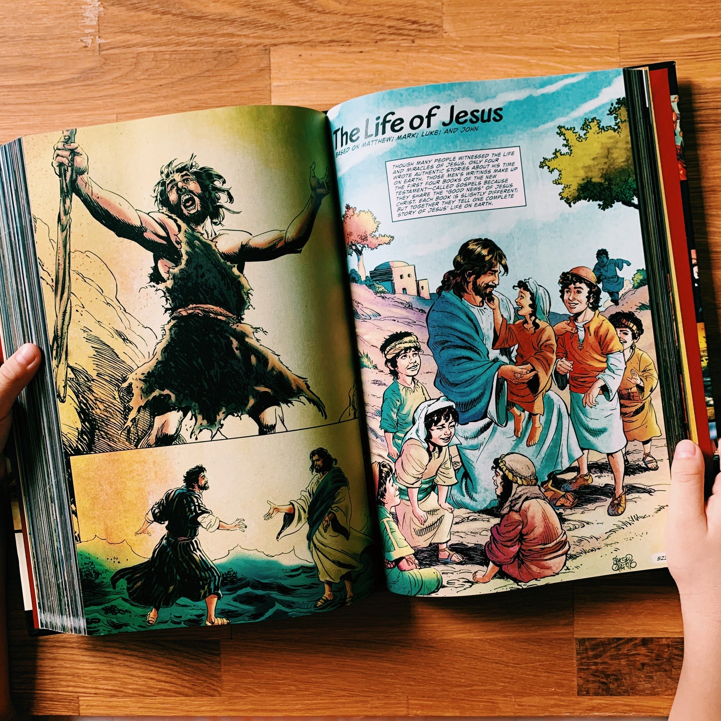 The Action Bible: God's Redemptive Story