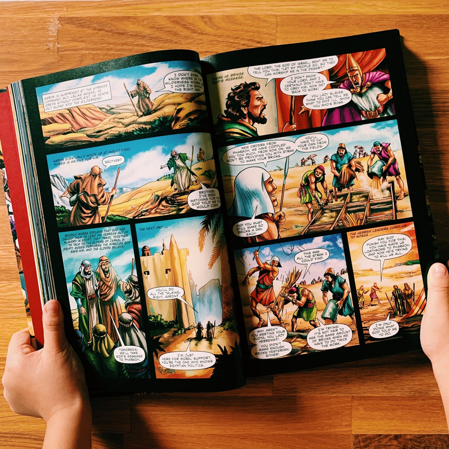 The Action Bible: God's Redemptive Story