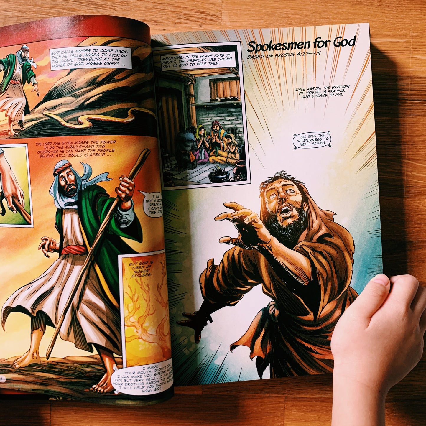 The Action Bible: God's Redemptive Story