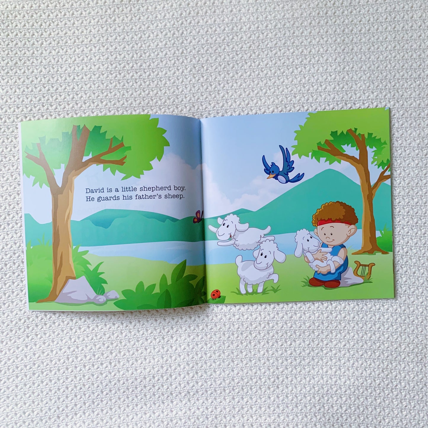 Little Bible Heroes: David + Esther (Flip Over Book)