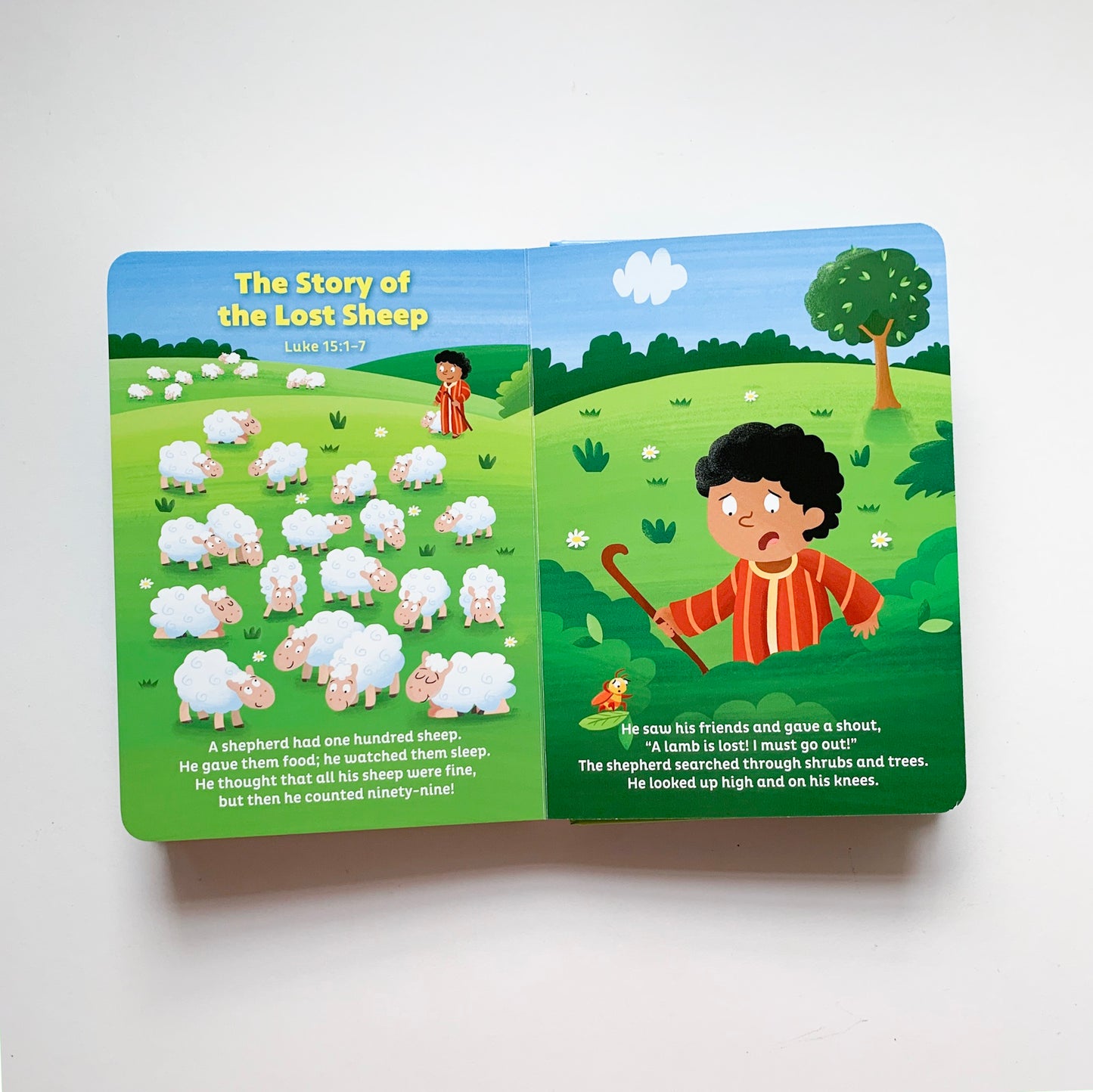 Go Wild! Bible Stories for Little Ones