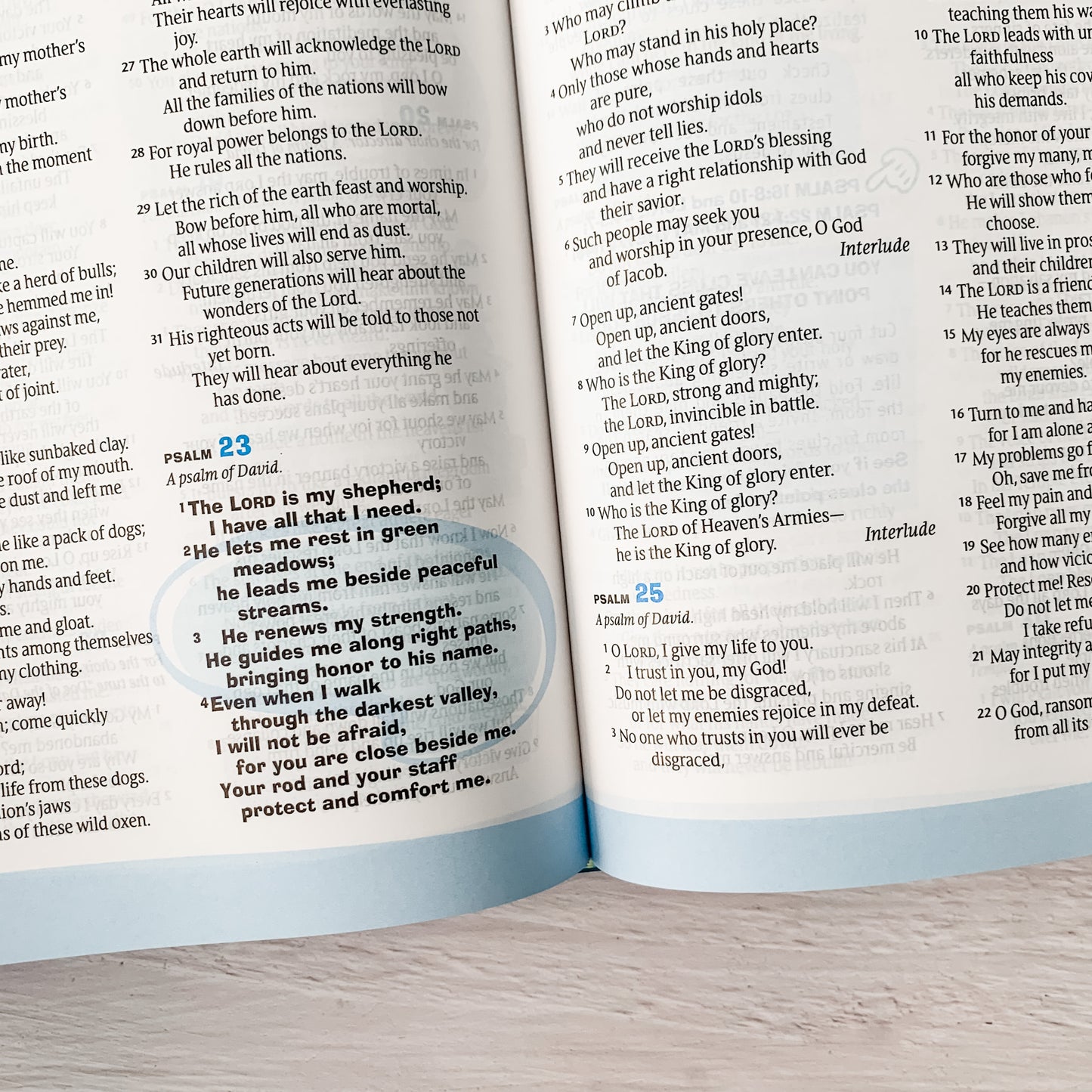 Hands On Bible (NLT)