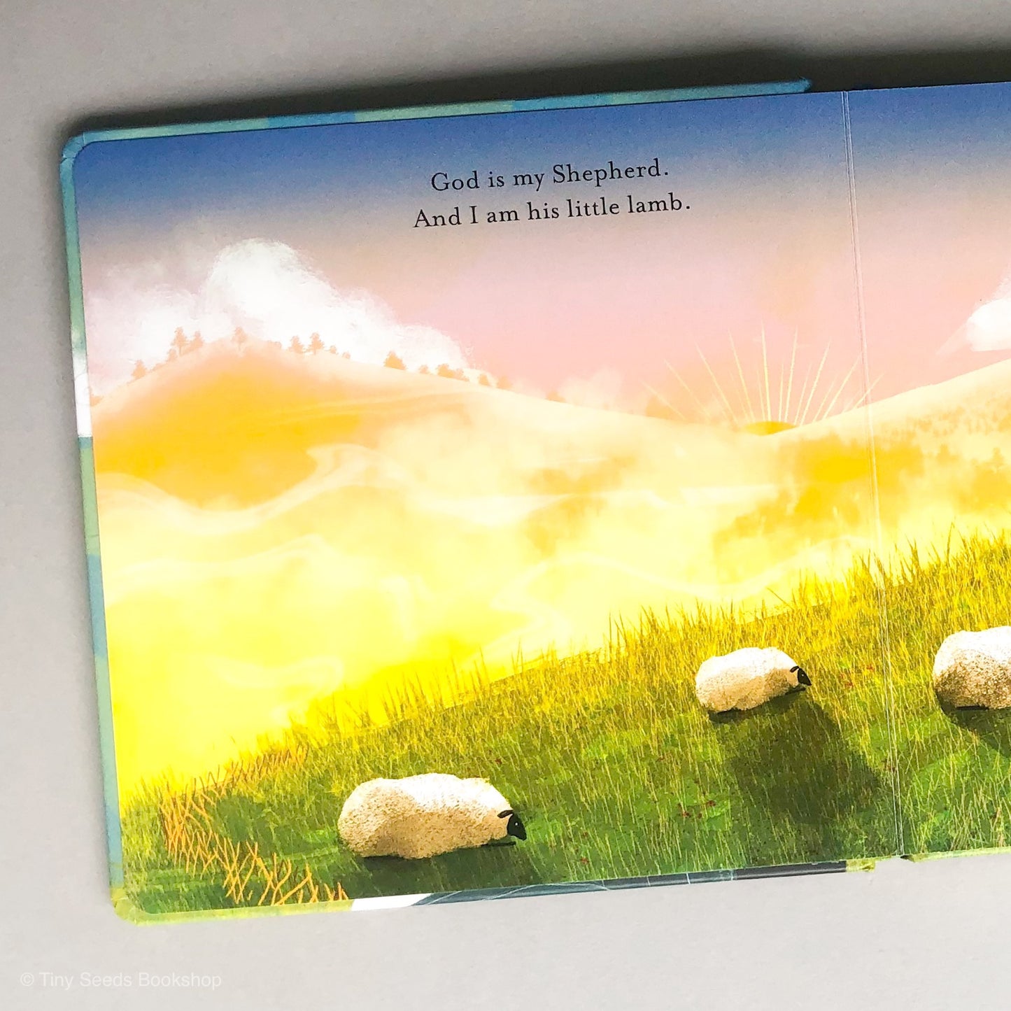 Found: Psalm 23 - tiny-seeds-bookshop-christian-books-for-kids