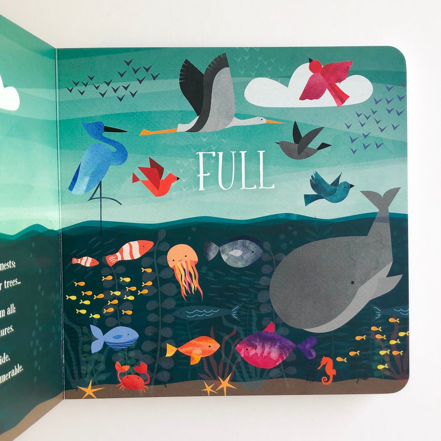 Let There Be Light: An Opposites Primer - tiny-seeds-bookshop-christian-books-for-kids