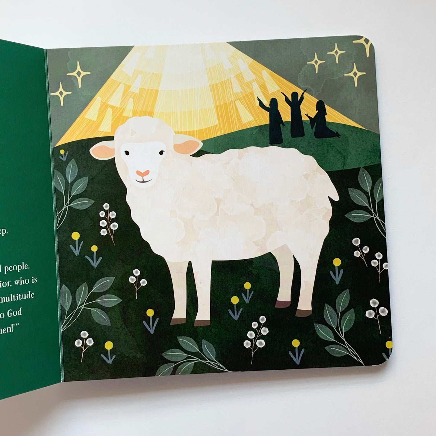 From Eden to Bethlehem: An Animals Primer - tiny-seeds-bookshop-christian-books-for-kids