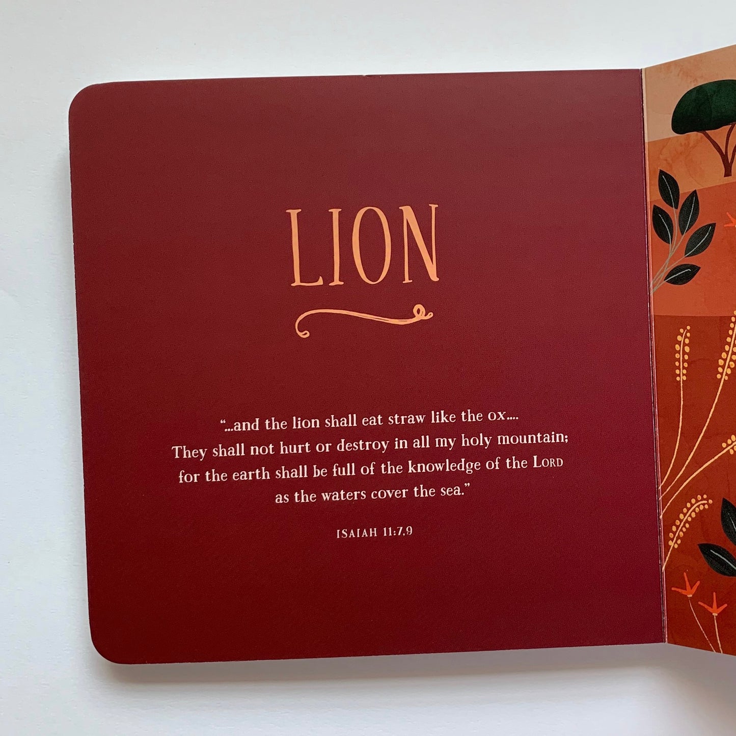 From Eden to Bethlehem: An Animals Primer - tiny-seeds-bookshop-christian-books-for-kids
