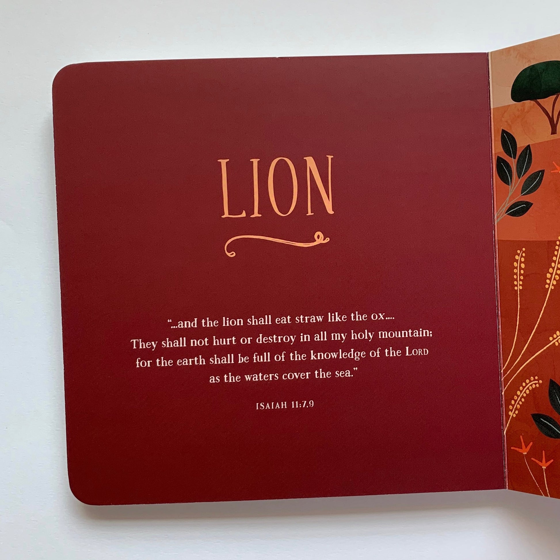 From Eden to Bethlehem: An Animals Primer - tiny-seeds-bookshop-christian-books-for-kids