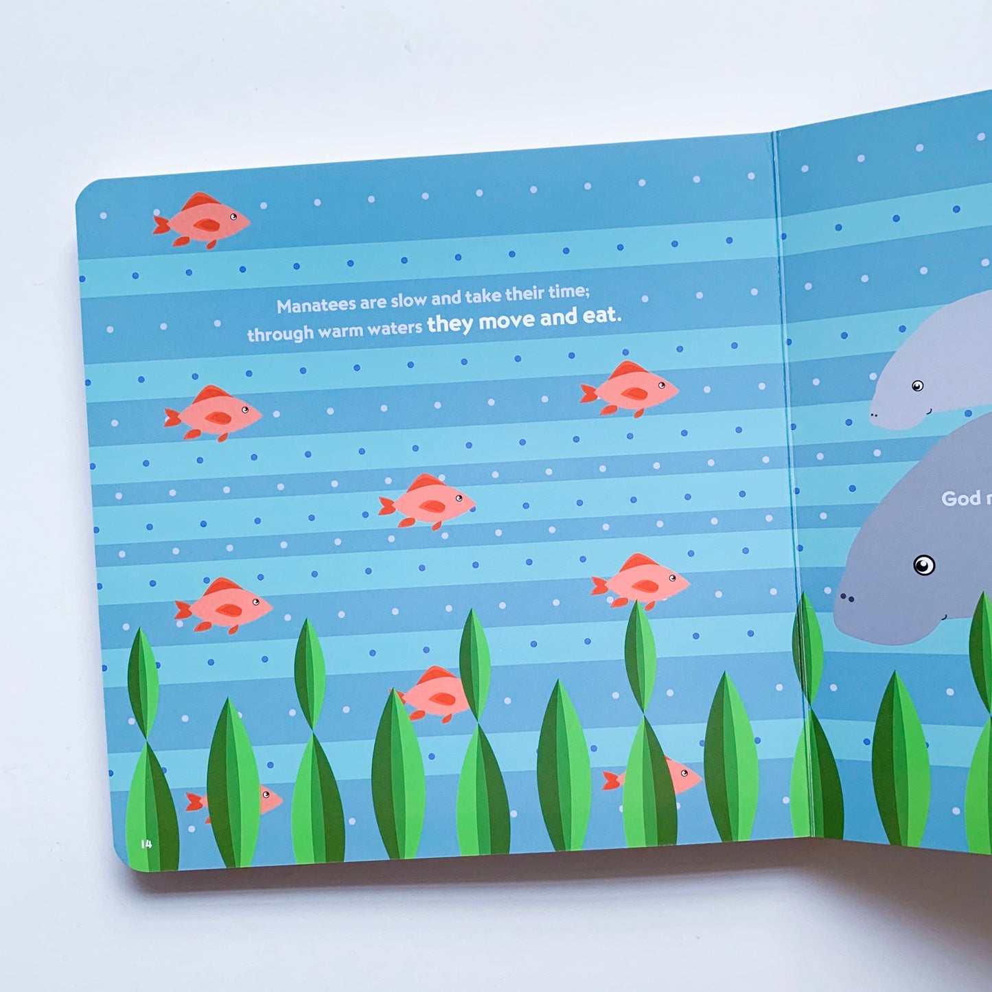God Made the Ocean - tiny-seeds-bookshop-christian-books-for-kids