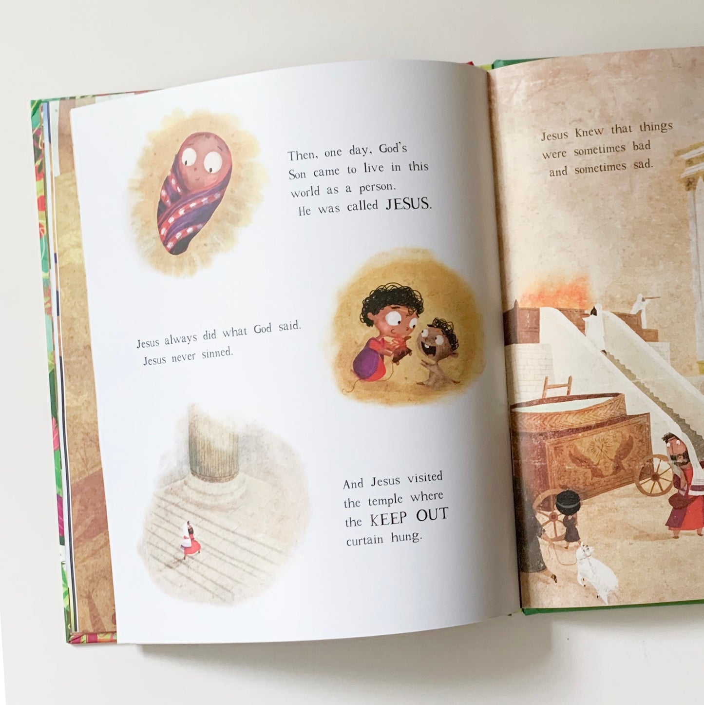 The Garden, the Curtain and the Cross: The True Story of Why Jesus Died and Rose Again