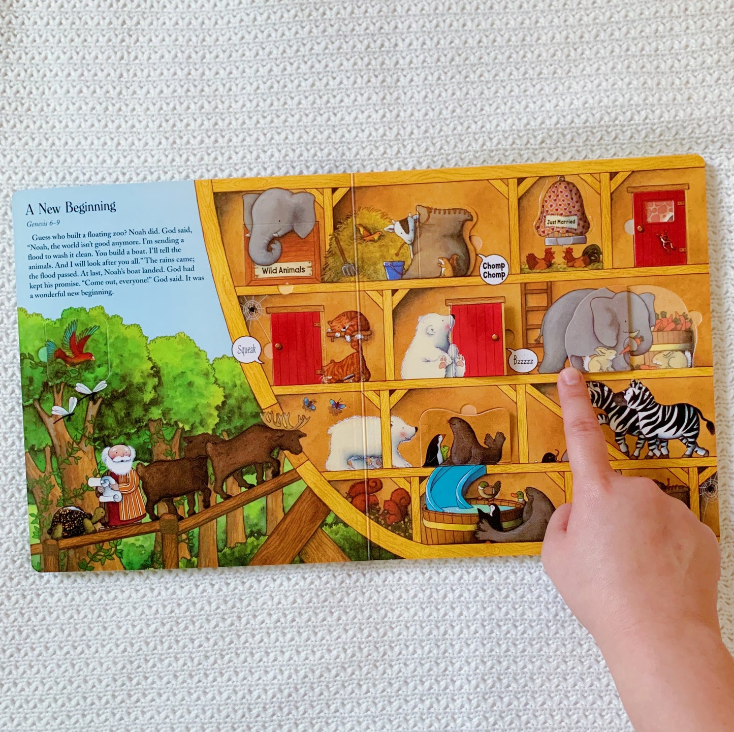 Lift the Flap Bible