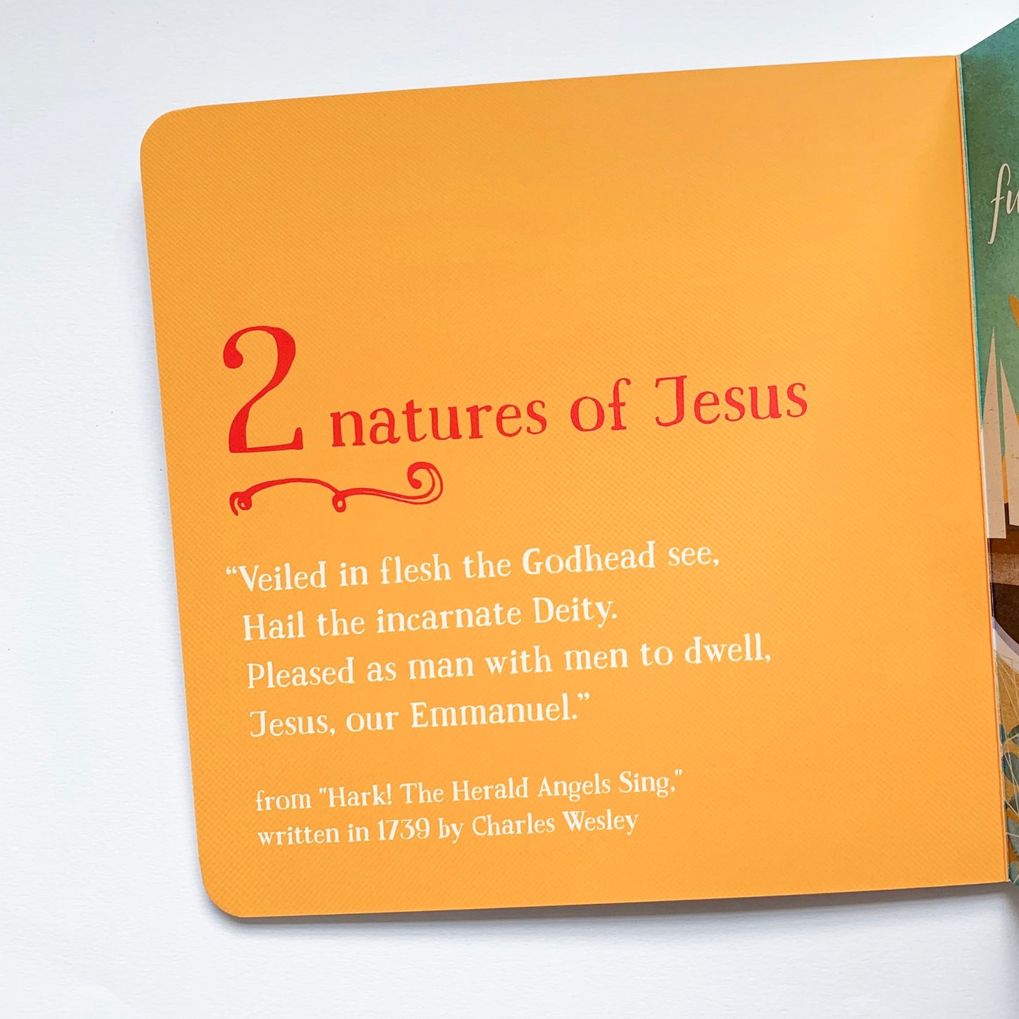 First Bible Basics: A Counting Primer - tiny-seeds-bookshop-christian-books-for-kids