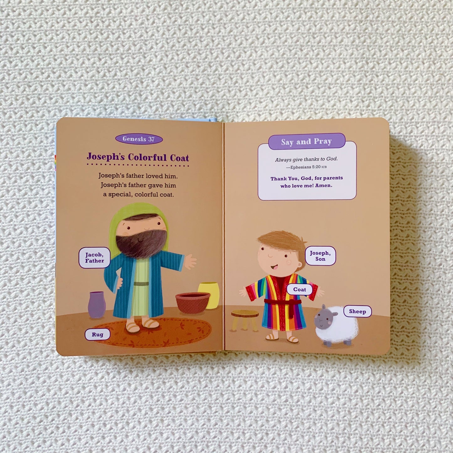 Say and Pray Bible: First Words, Stories, and Prayers