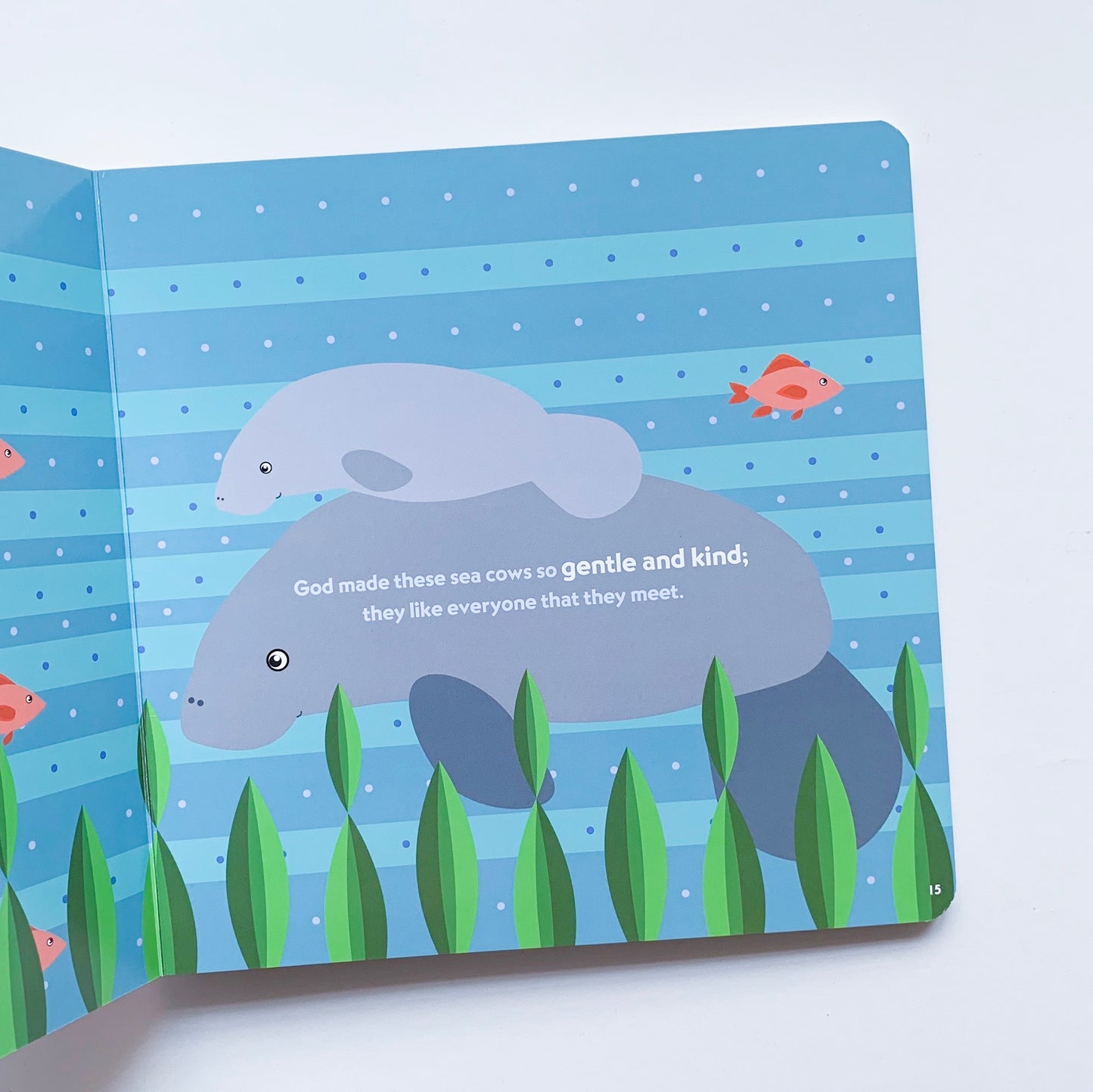 God Made the Ocean - tiny-seeds-bookshop-christian-books-for-kids