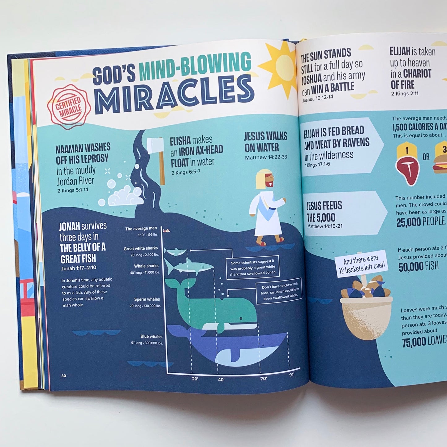 Bible Infographics for Kids: Giants, Ninja Skills, a Talking Donkey, and What's the Deal with the Tabernacle? - tiny-seeds-bookshop-christian-books-for-kids