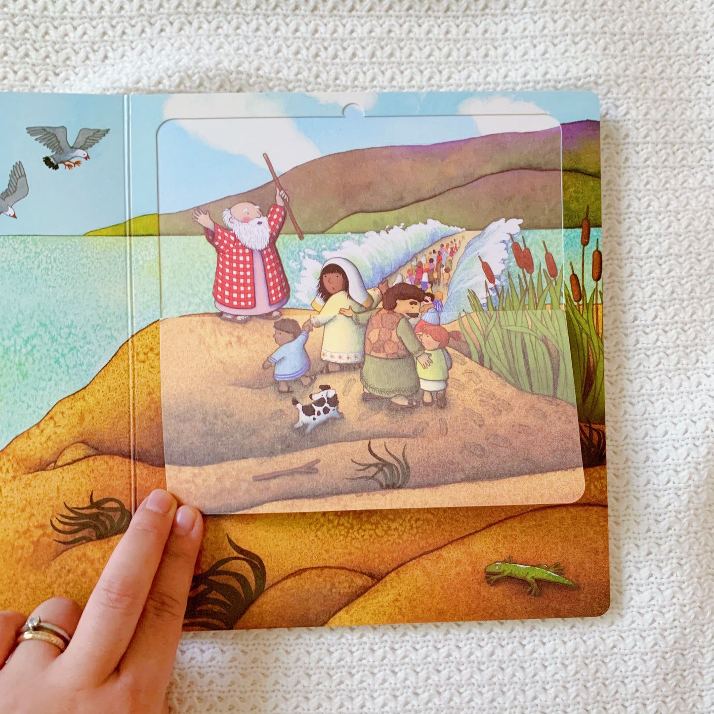 Lift the Flap Bible