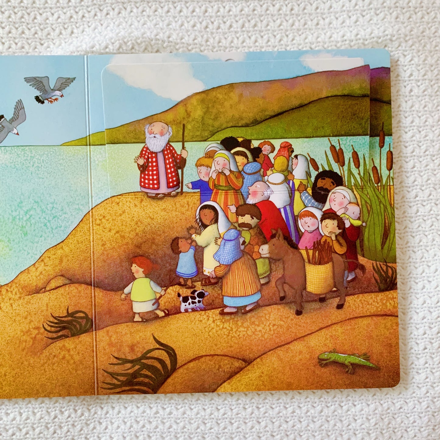 Lift the Flap Bible
