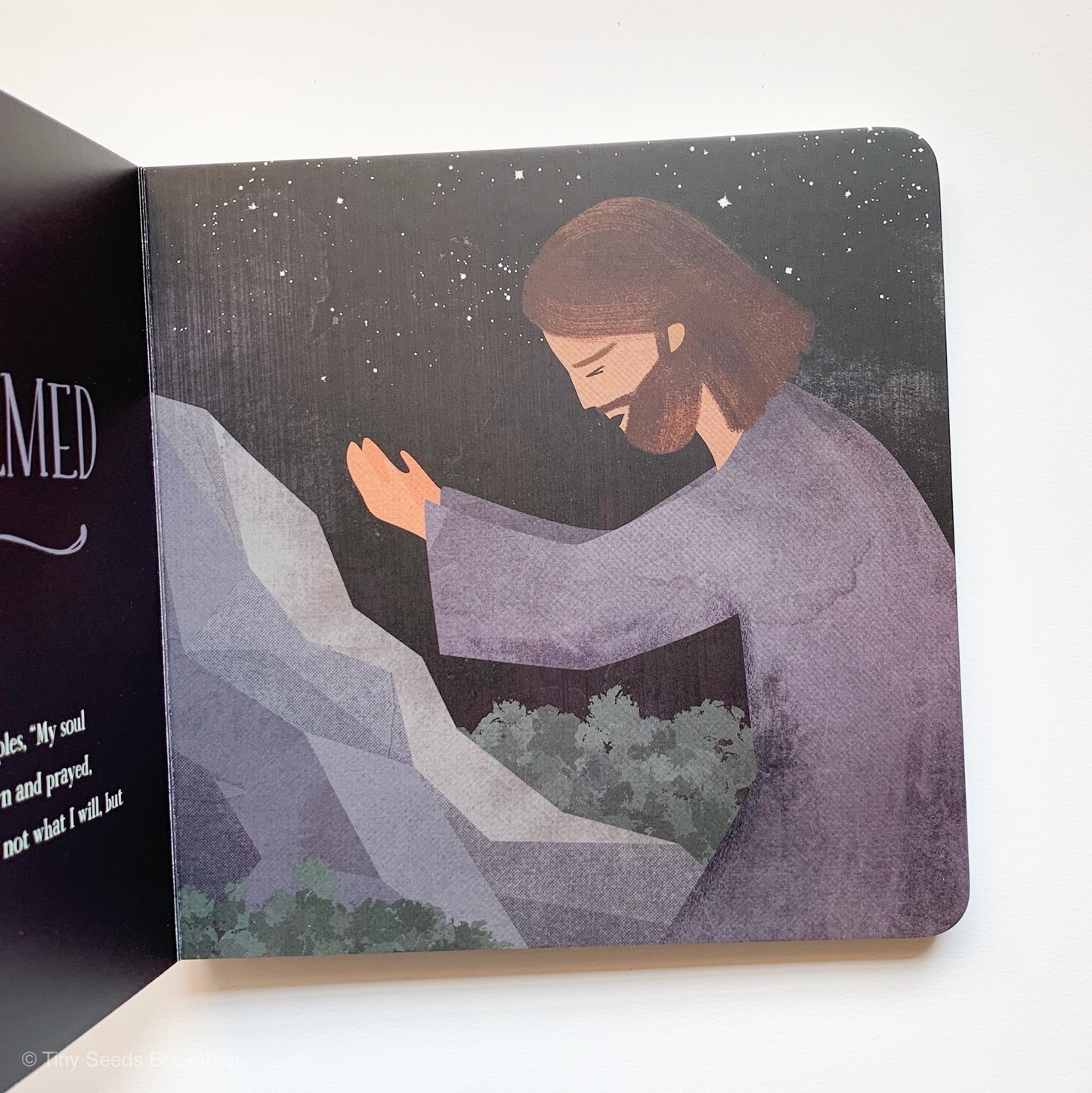 Holy Week: An Emotions Primer - tiny-seeds-bookshop-christian-books-for-kids