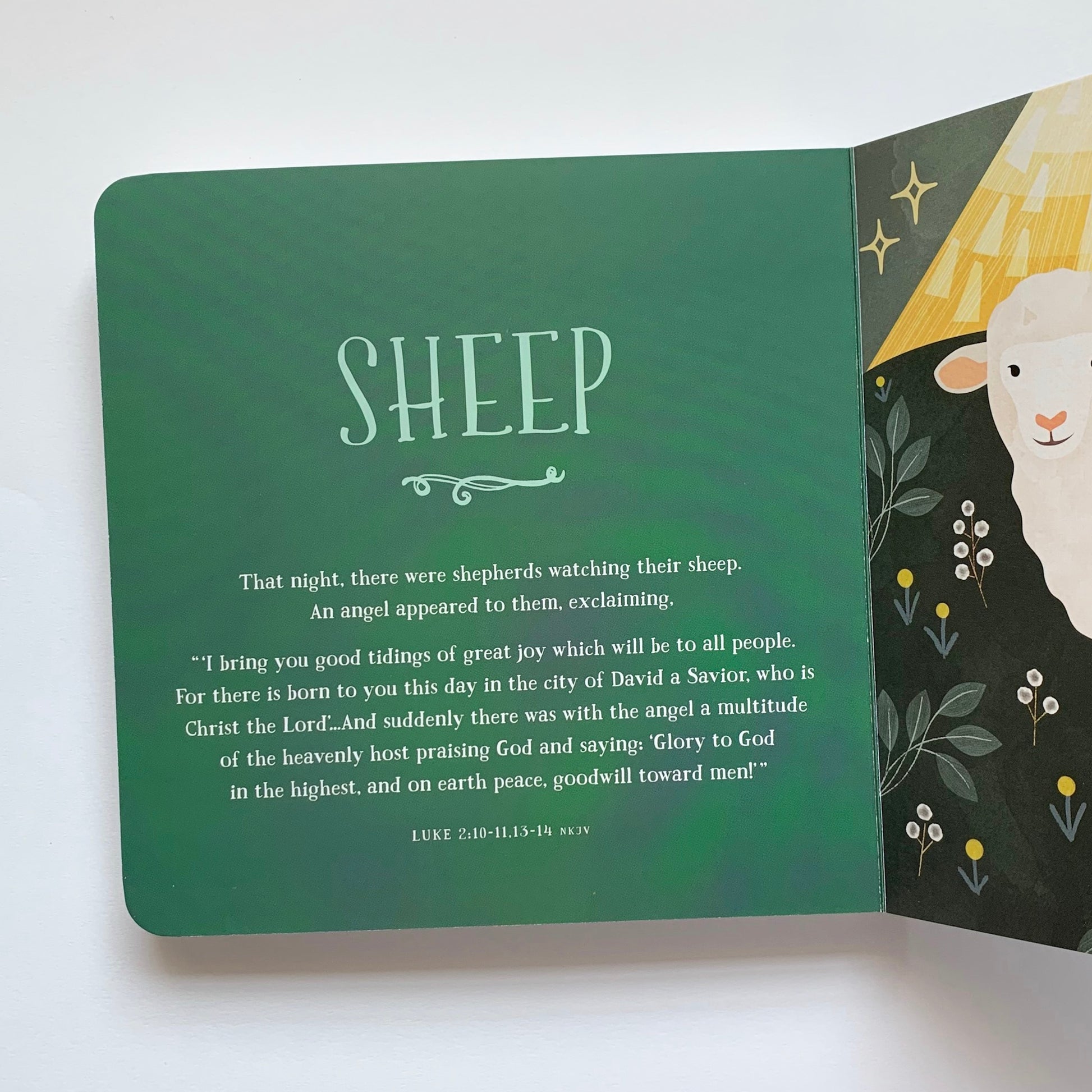 From Eden to Bethlehem: An Animals Primer - tiny-seeds-bookshop-christian-books-for-kids