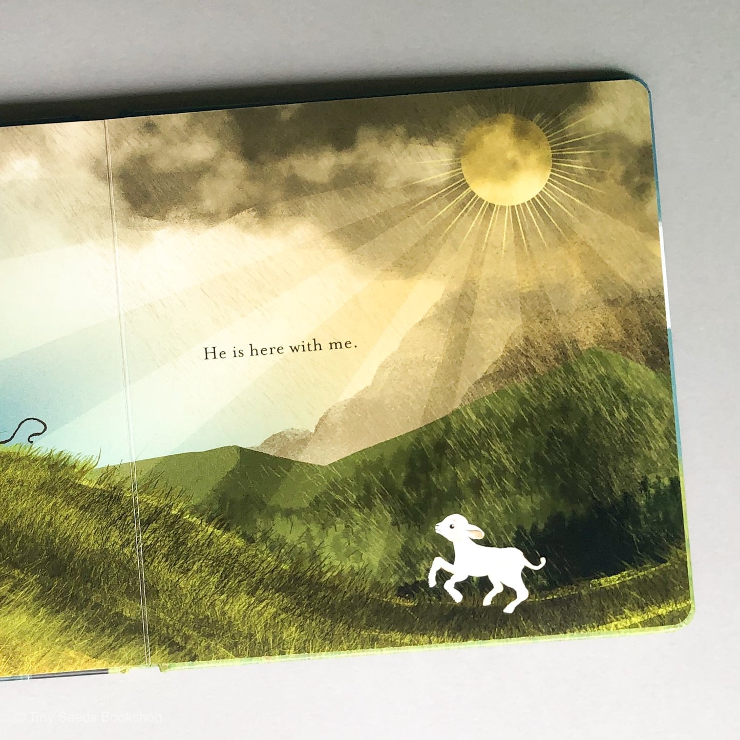Found: Psalm 23 - tiny-seeds-bookshop-christian-books-for-kids