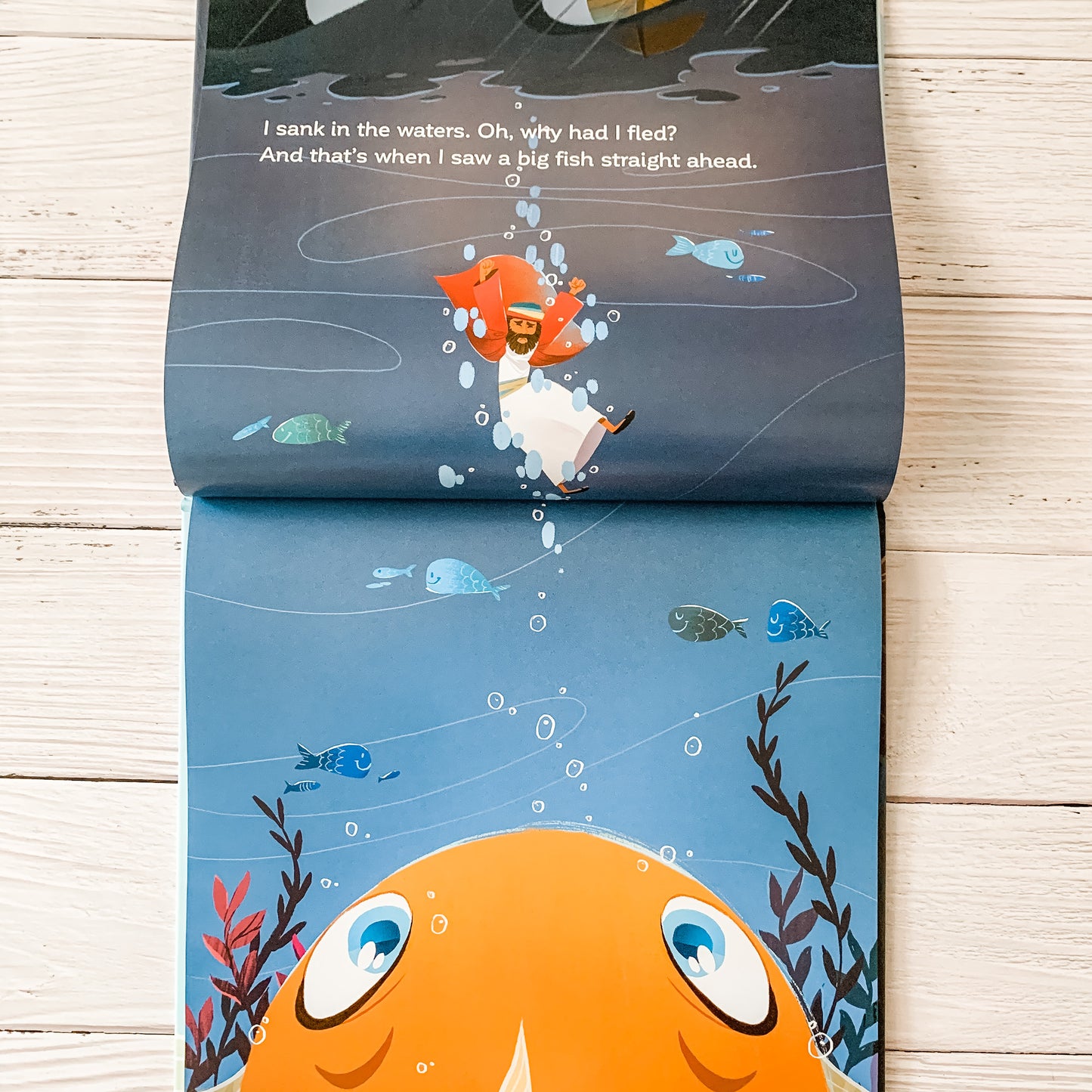 Jonah and the Fish/The Fish and Jonah (Flipside Stories)