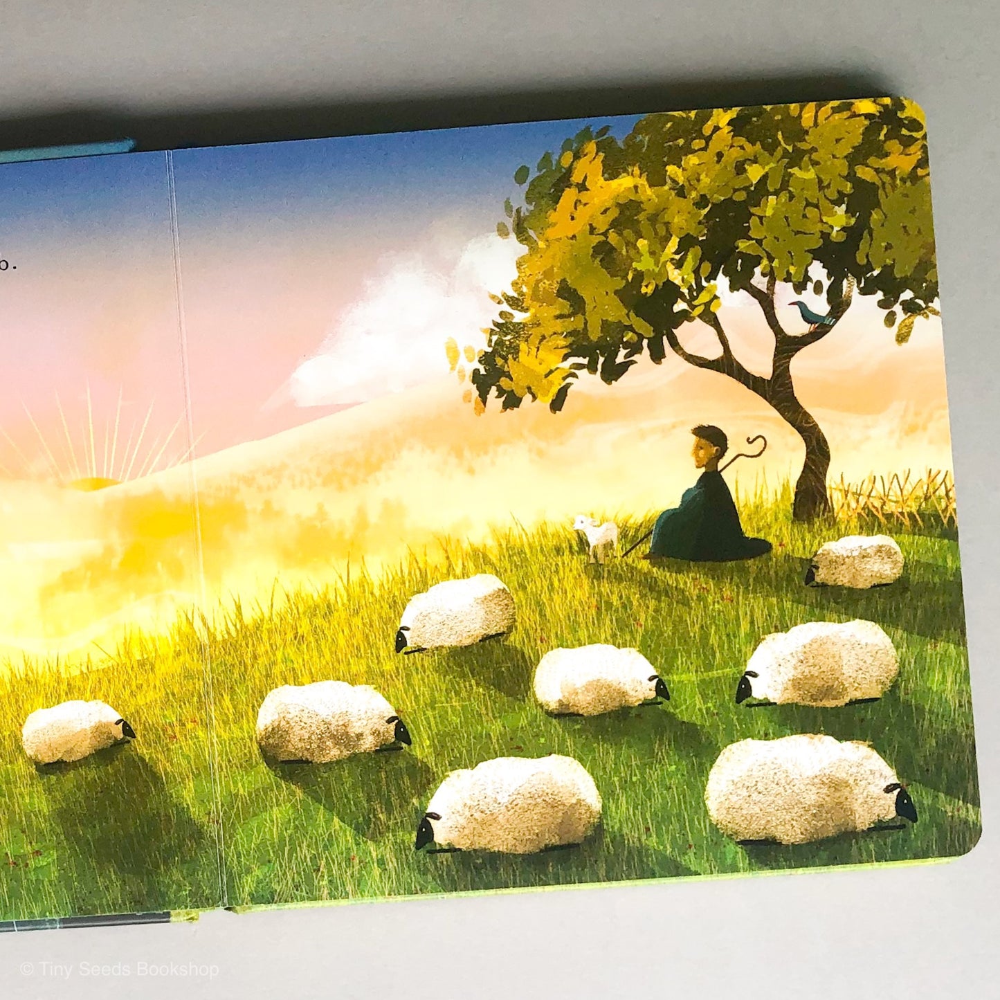 Found: Psalm 23 - tiny-seeds-bookshop-christian-books-for-kids
