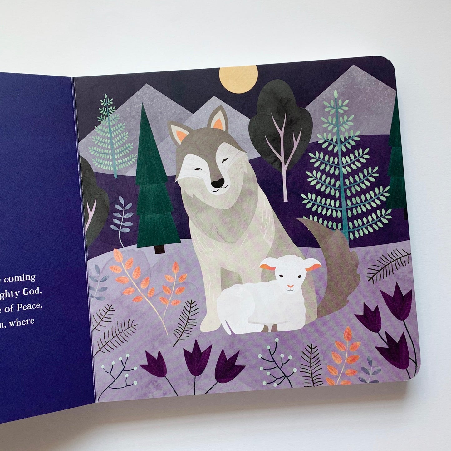 From Eden to Bethlehem: An Animals Primer - tiny-seeds-bookshop-christian-books-for-kids