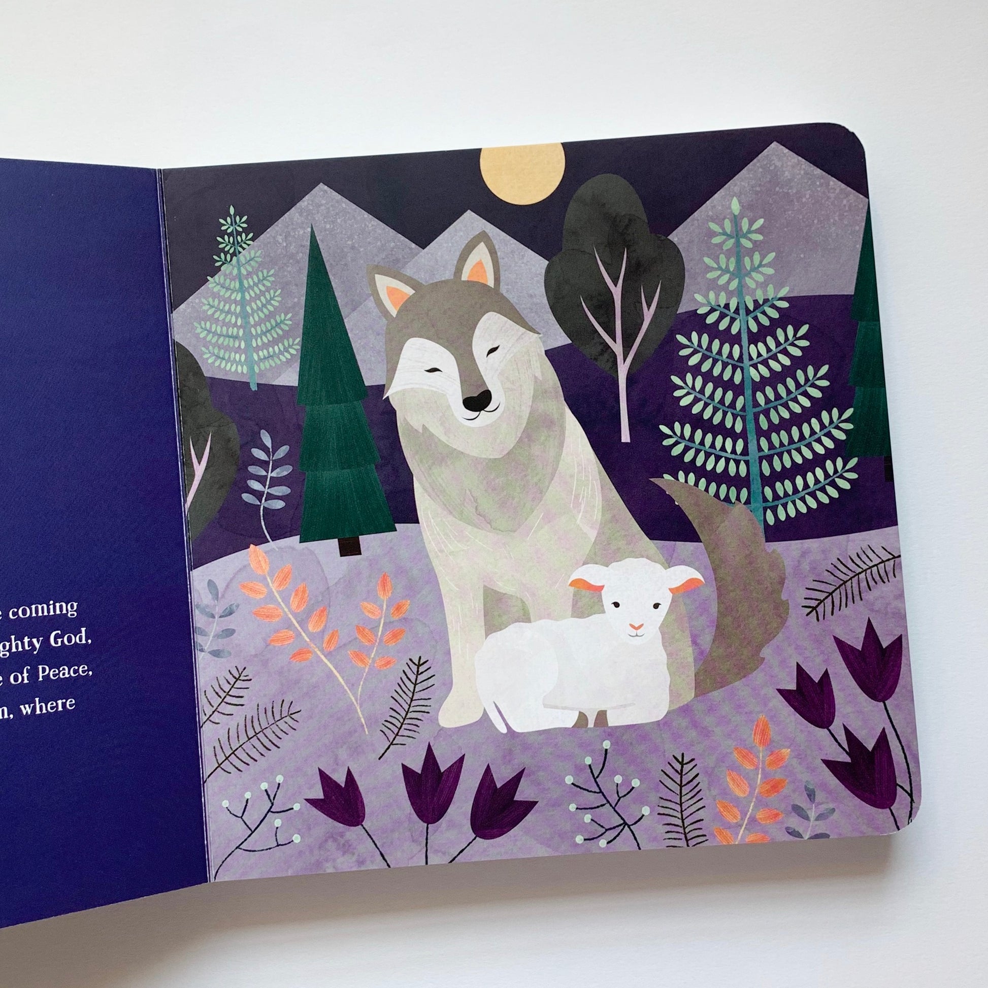 From Eden to Bethlehem: An Animals Primer - tiny-seeds-bookshop-christian-books-for-kids