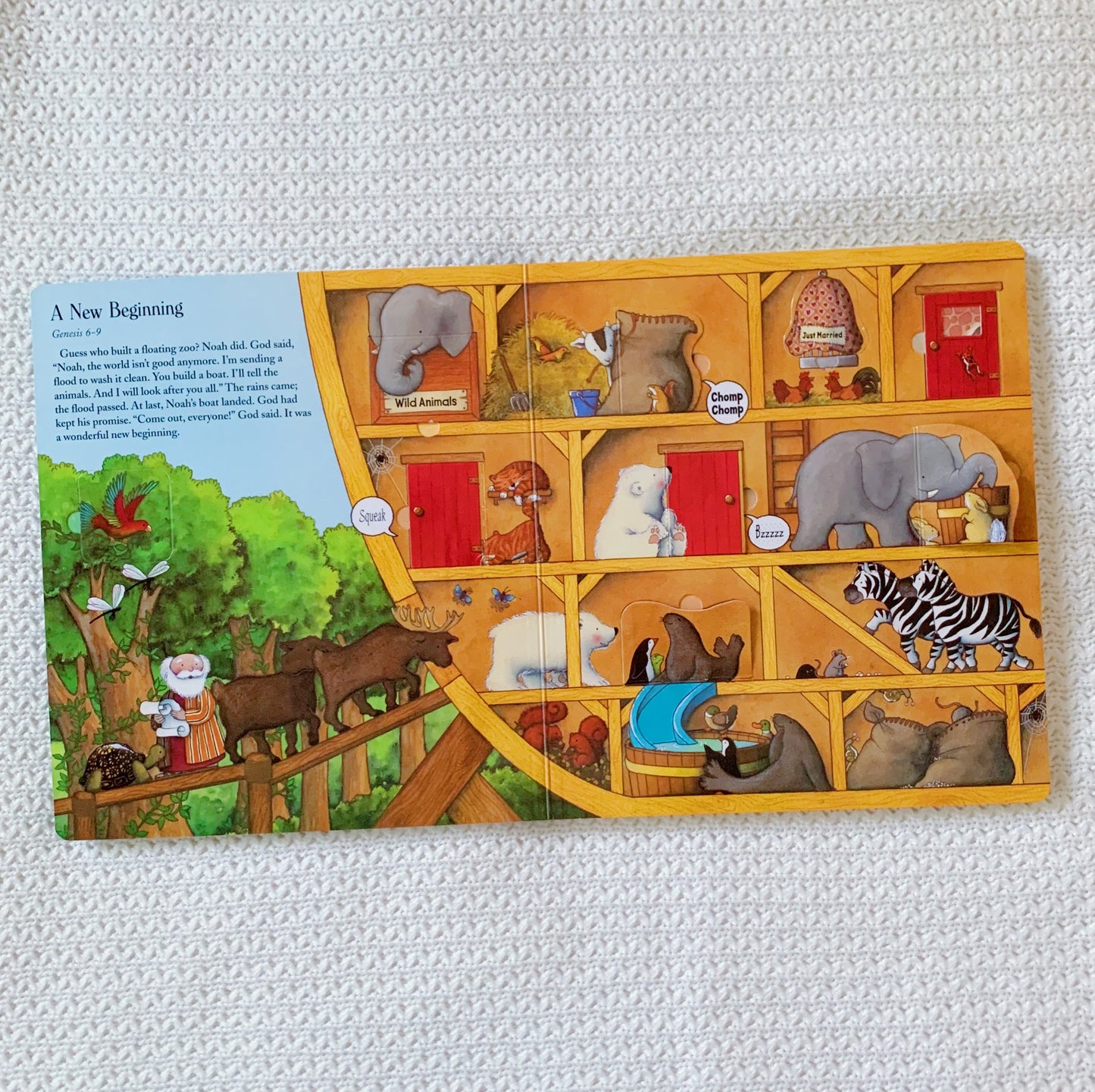 Lift the Flap Bible