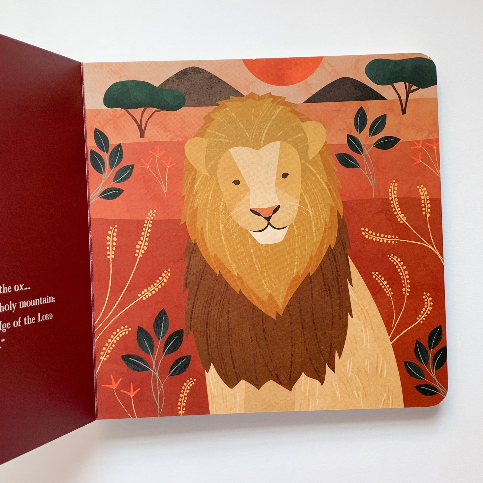 From Eden to Bethlehem: An Animals Primer - tiny-seeds-bookshop-christian-books-for-kids