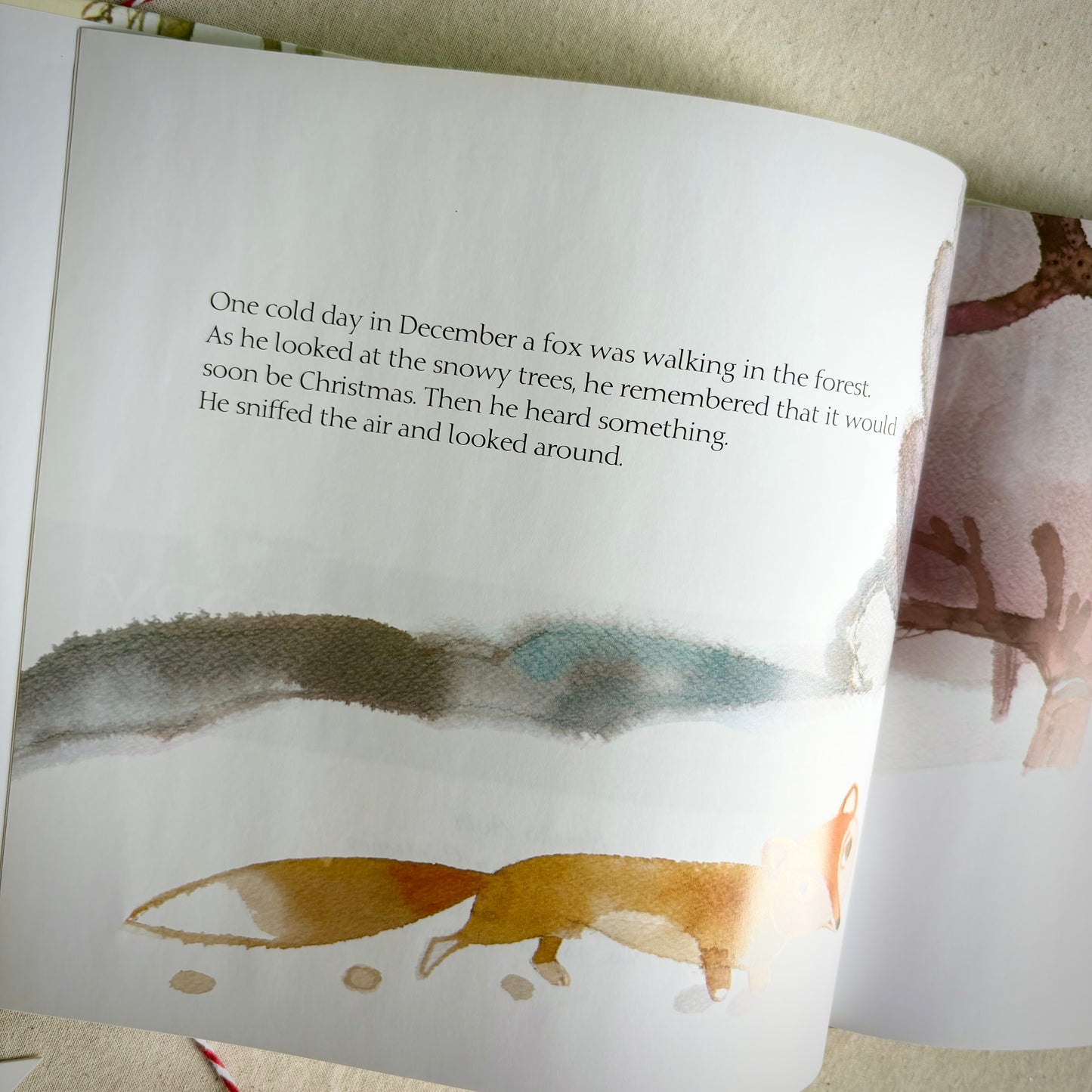 Santa’s Favorite Story – Christian Christmas picture book about Jesus’ birth.