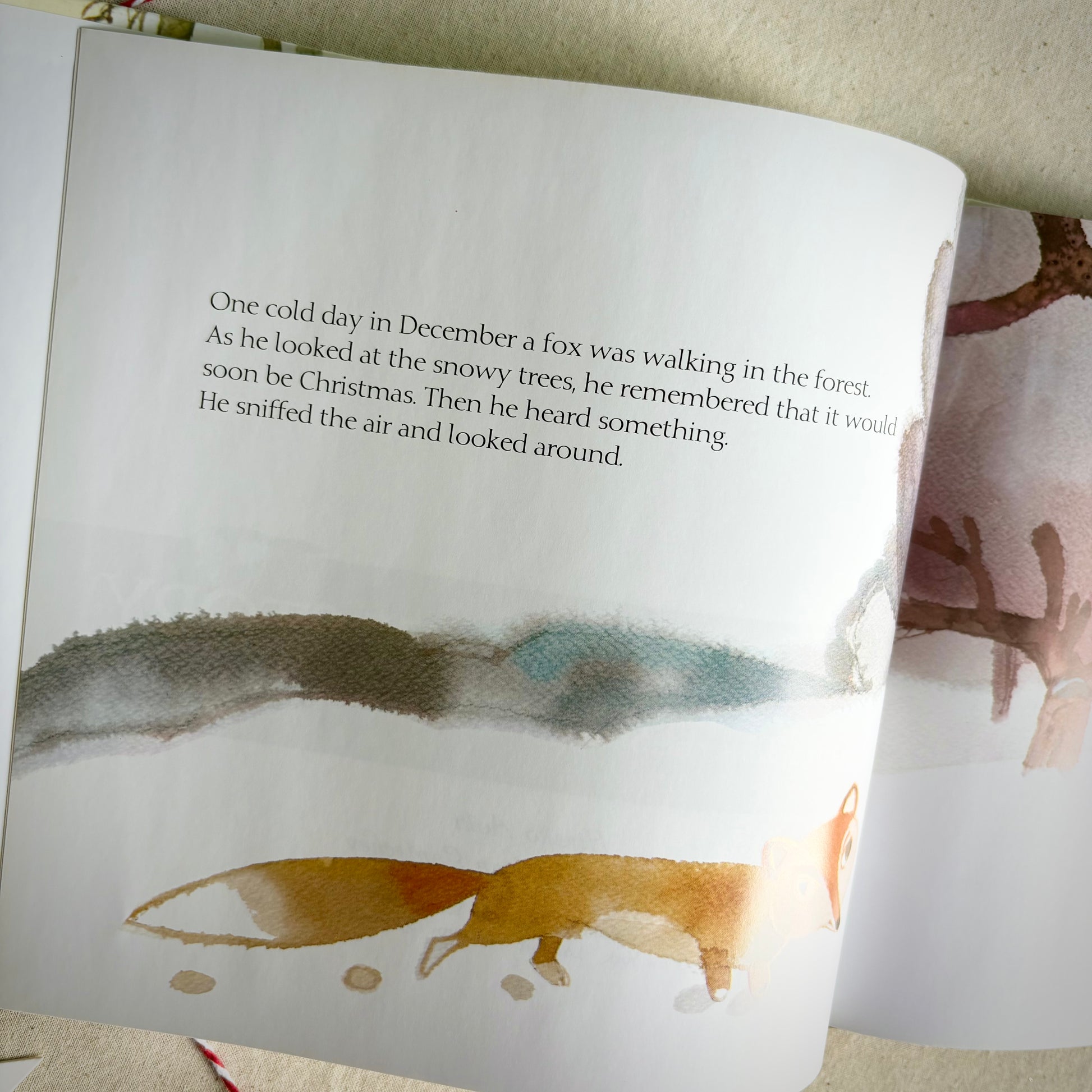 Santa’s Favorite Story – Christian Christmas picture book about Jesus’ birth.