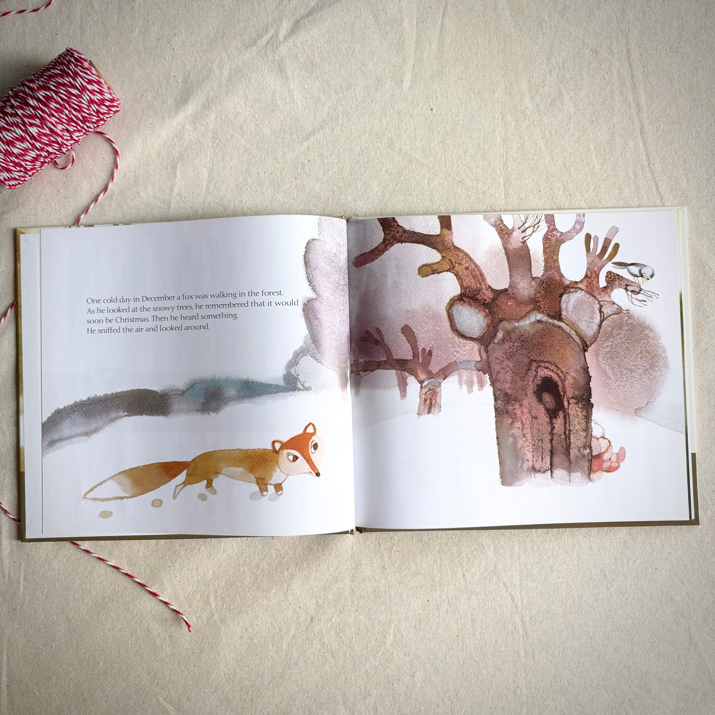 Santa’s Favorite Story – Christian Christmas picture book about Jesus’ birth.