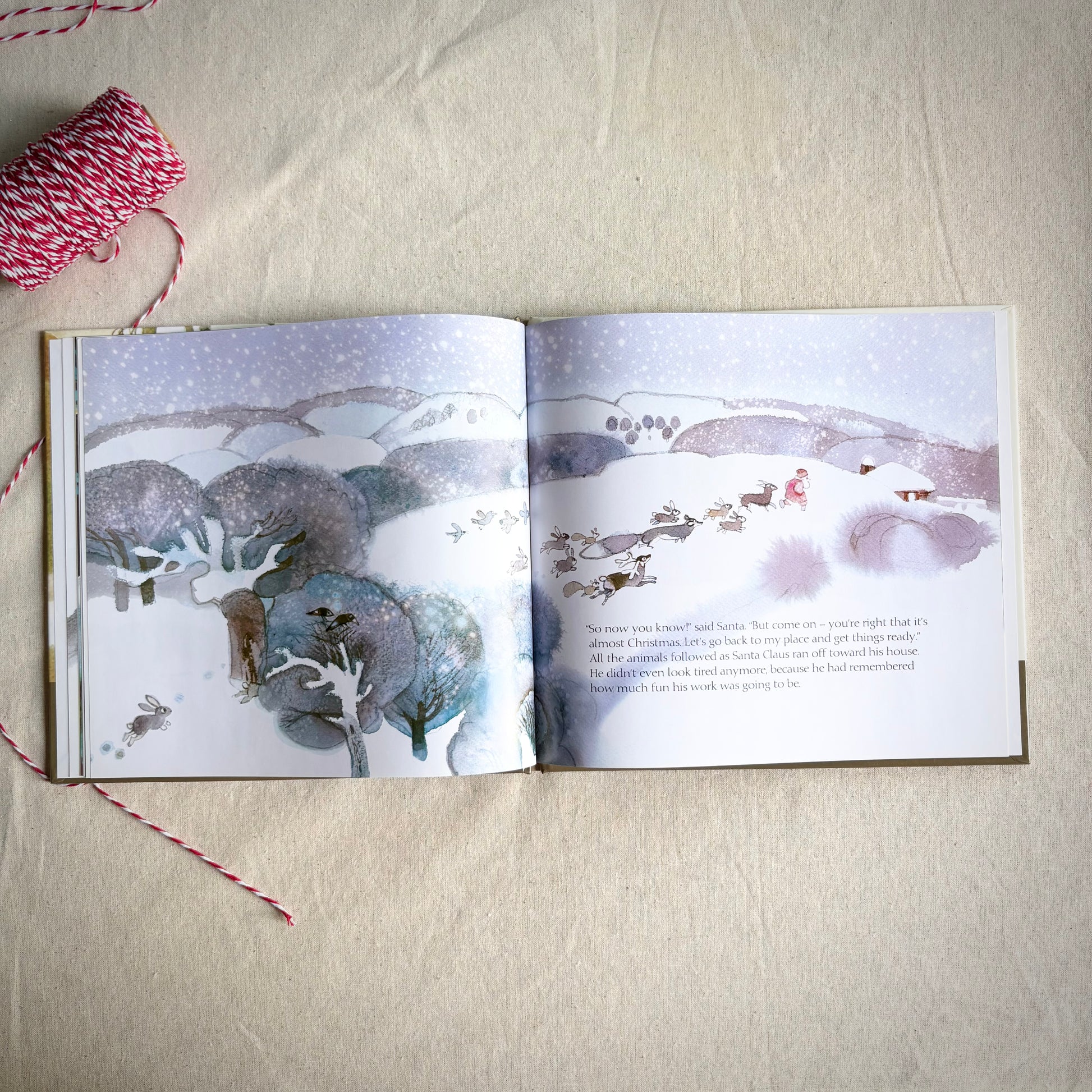 Santa’s Favorite Story – Christian Christmas picture book about Jesus’ birth.