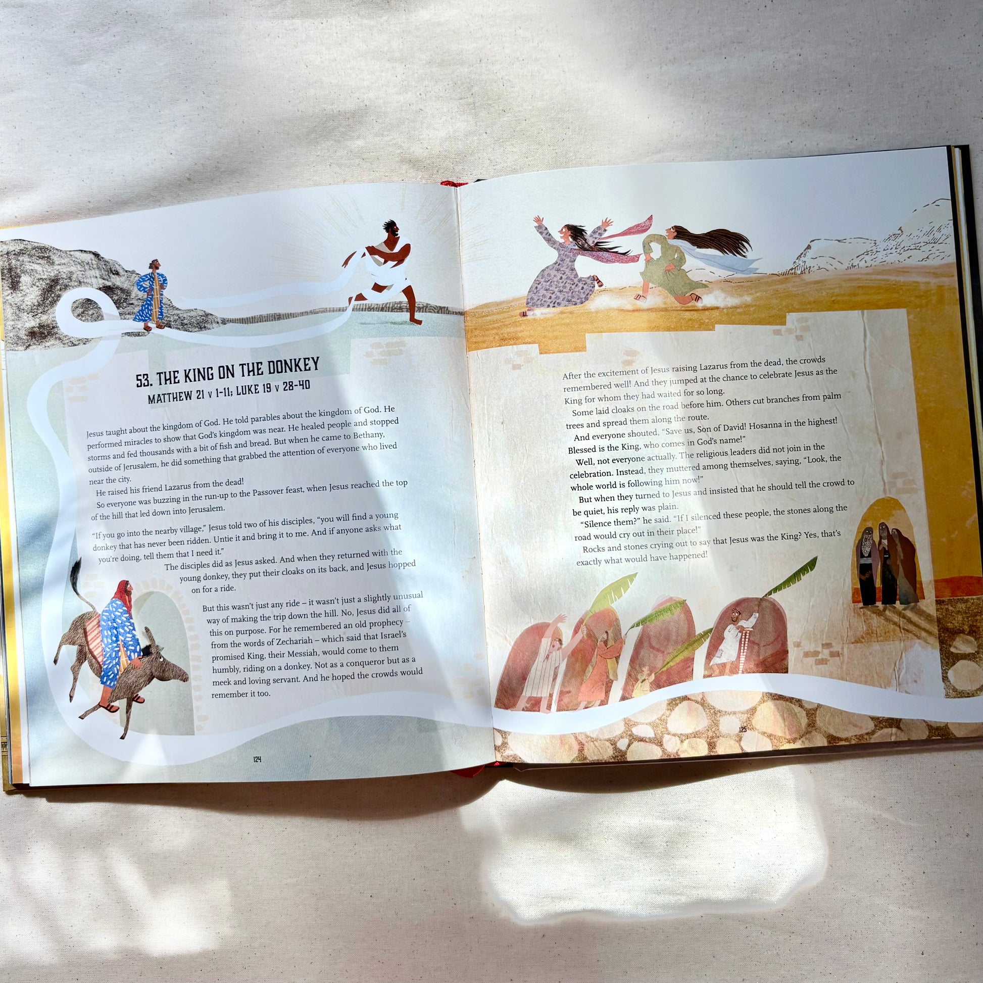 The Kingdom and the King Storybook Bible – Christian children’s Bible storybook about God’s kingdom from Genesis to Revelation.