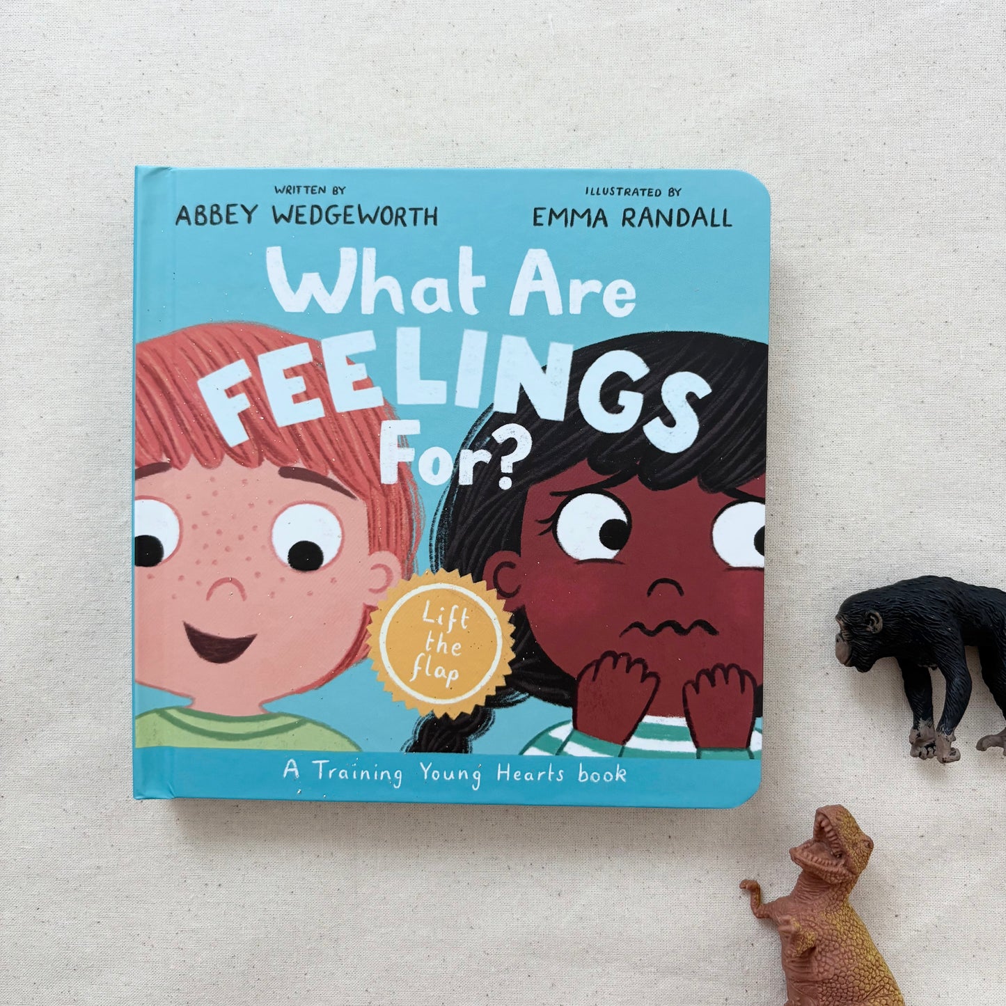 What Are Feelings For? Christian lift-the-flap board book for toddlers – faith-based story about emotions and God’s care.