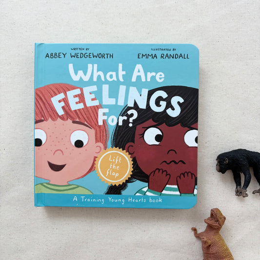 What Are Feelings For? Christian lift-the-flap board book for toddlers – faith-based story about emotions and God’s care.