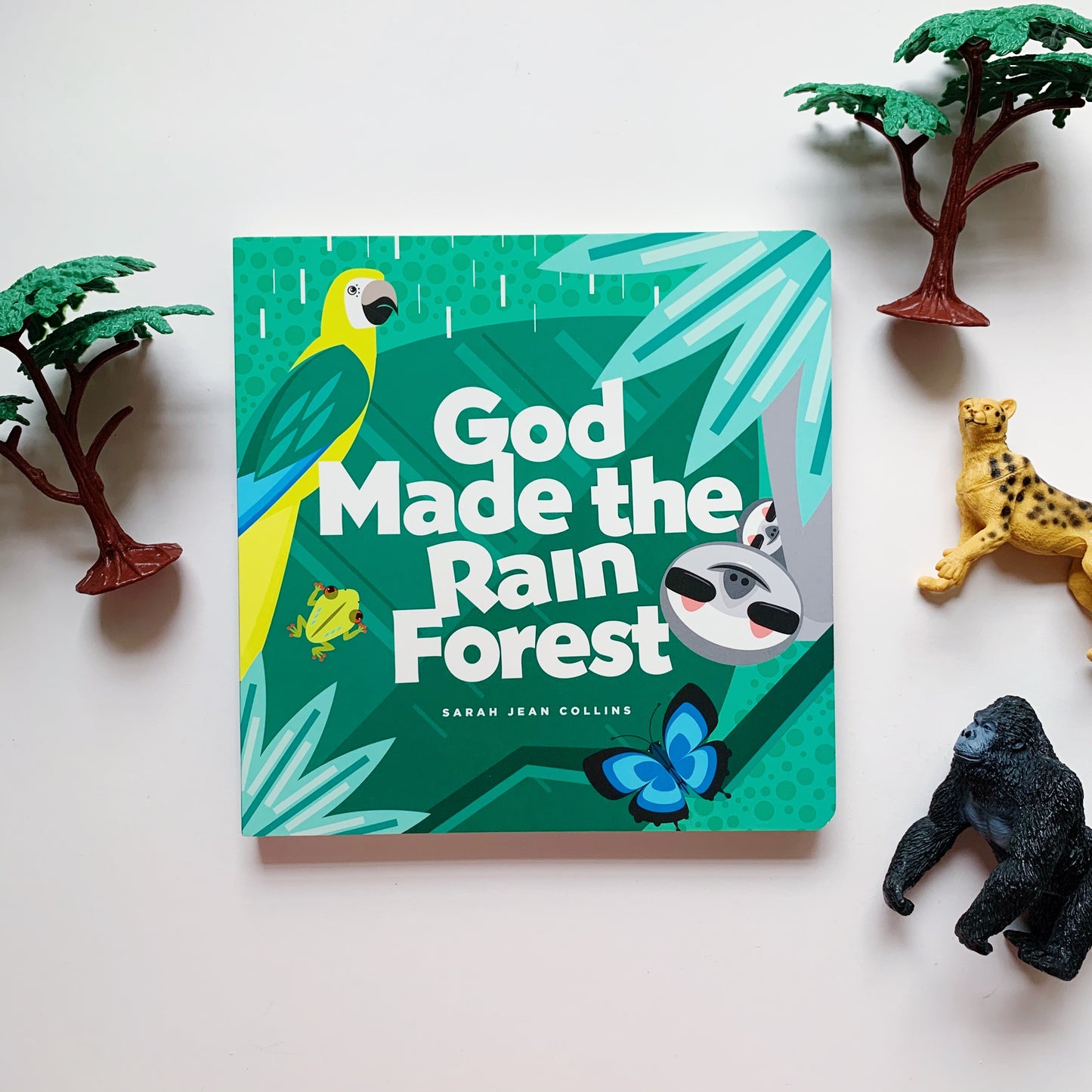 God Made the Rainforest