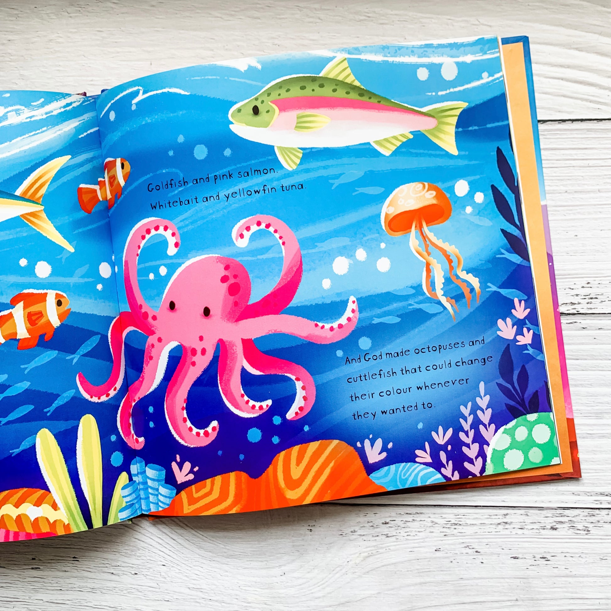 God’s Very Colourful Creation children’s Bible storybook – Genesis 1–2 story about God’s creation and love.