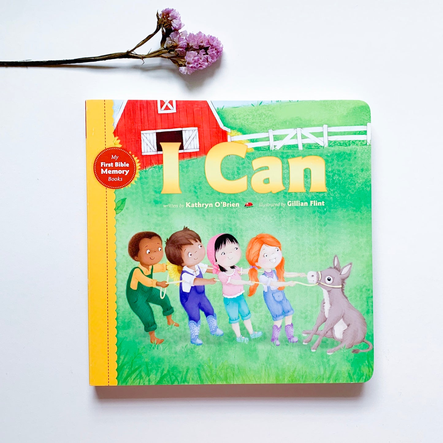 I Can (My First Bible Memory Books)