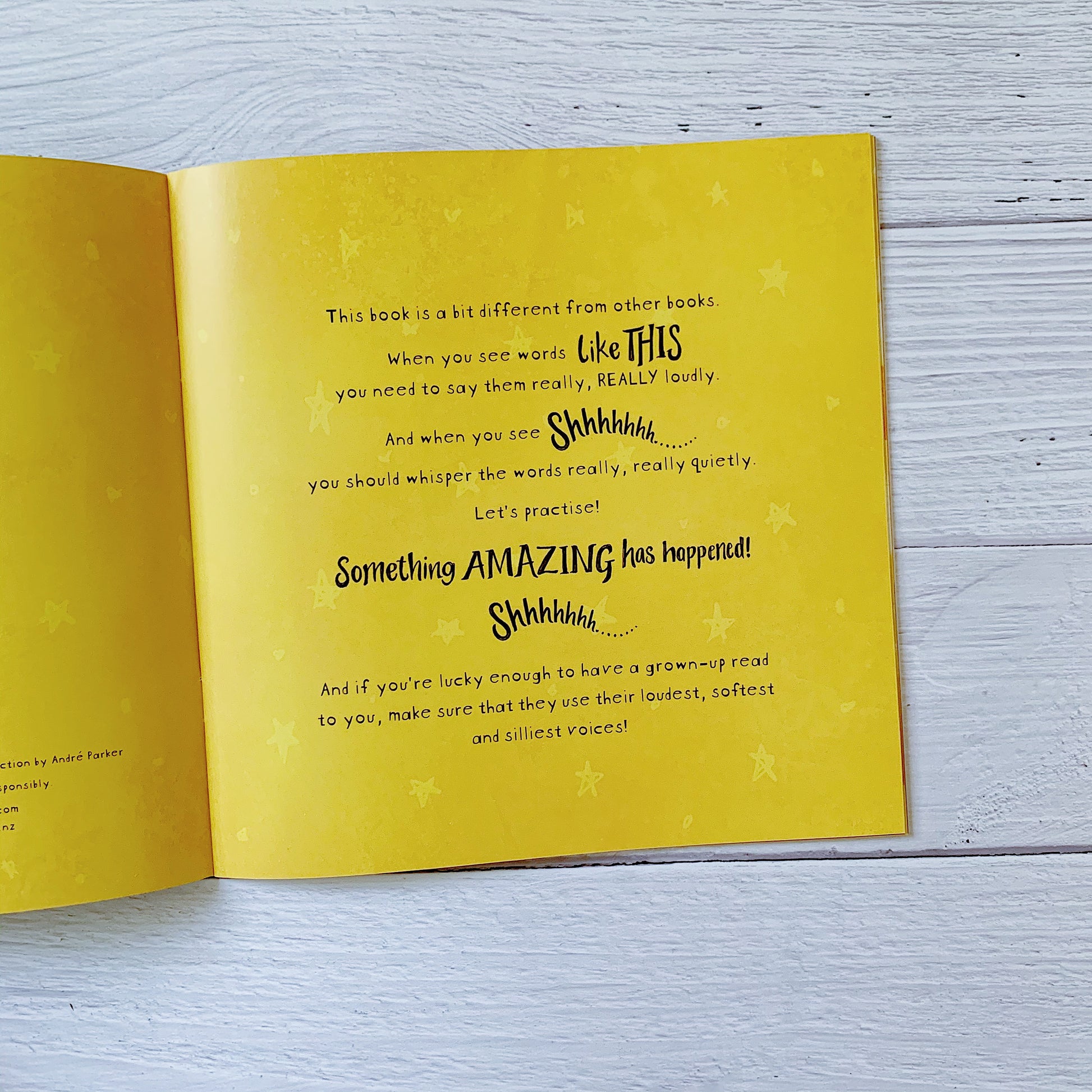 A Very Noisy Christmas children’s Bible storybook – joyful retelling of Jesus’ birth from Luke 2.