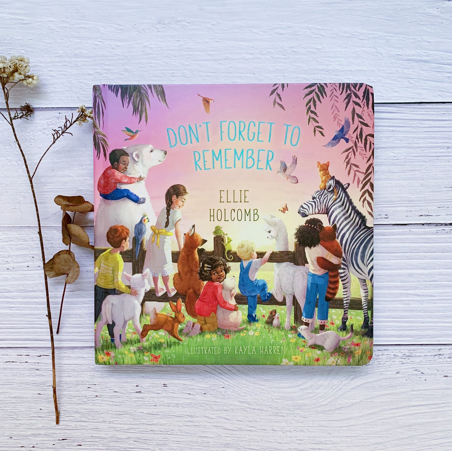 Don’t Forget to Remember – Christian board book about God’s love and creation by Ellie Holcomb.