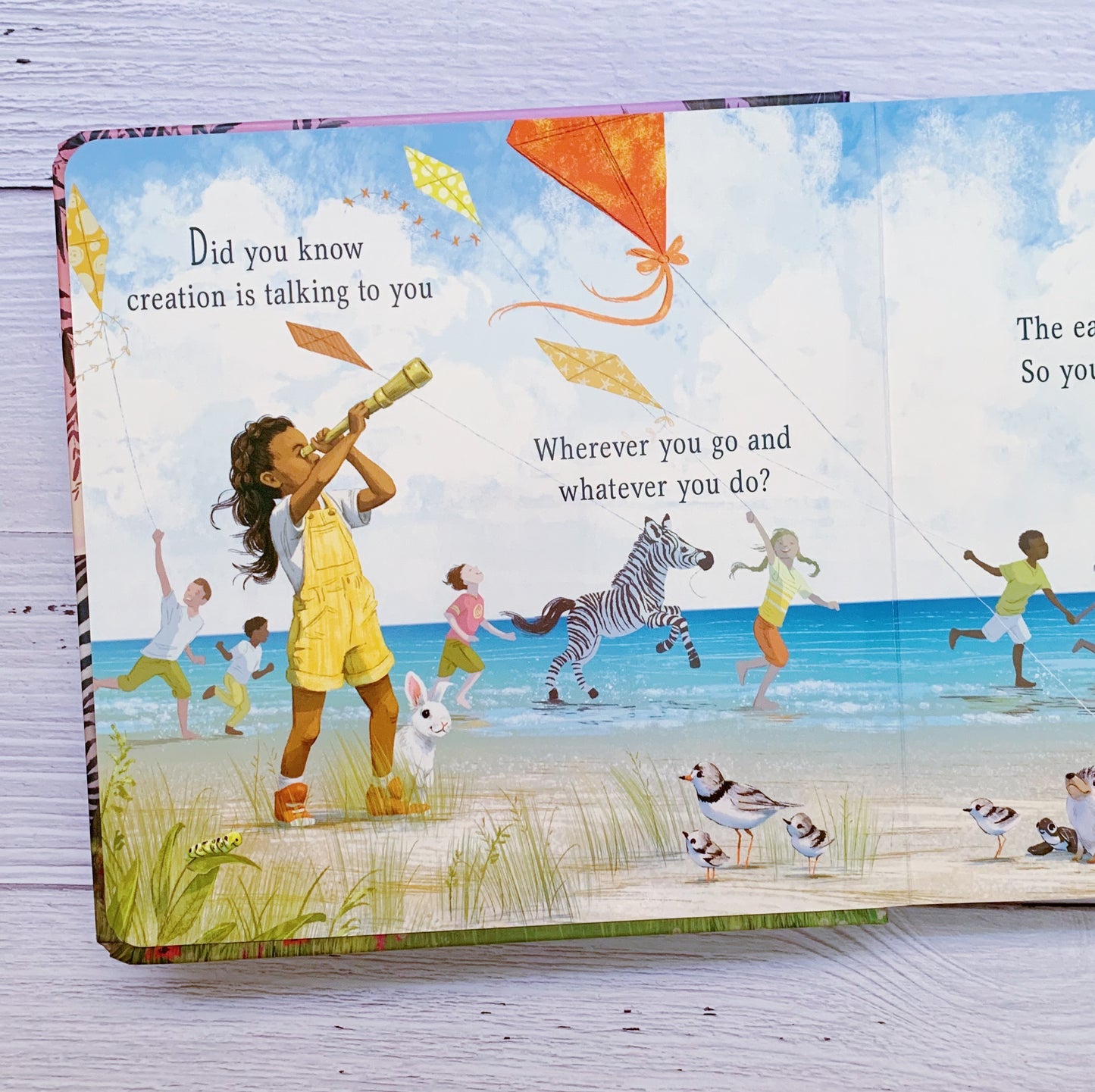 Don’t Forget to Remember – Christian board book about God’s love and creation by Ellie Holcomb.