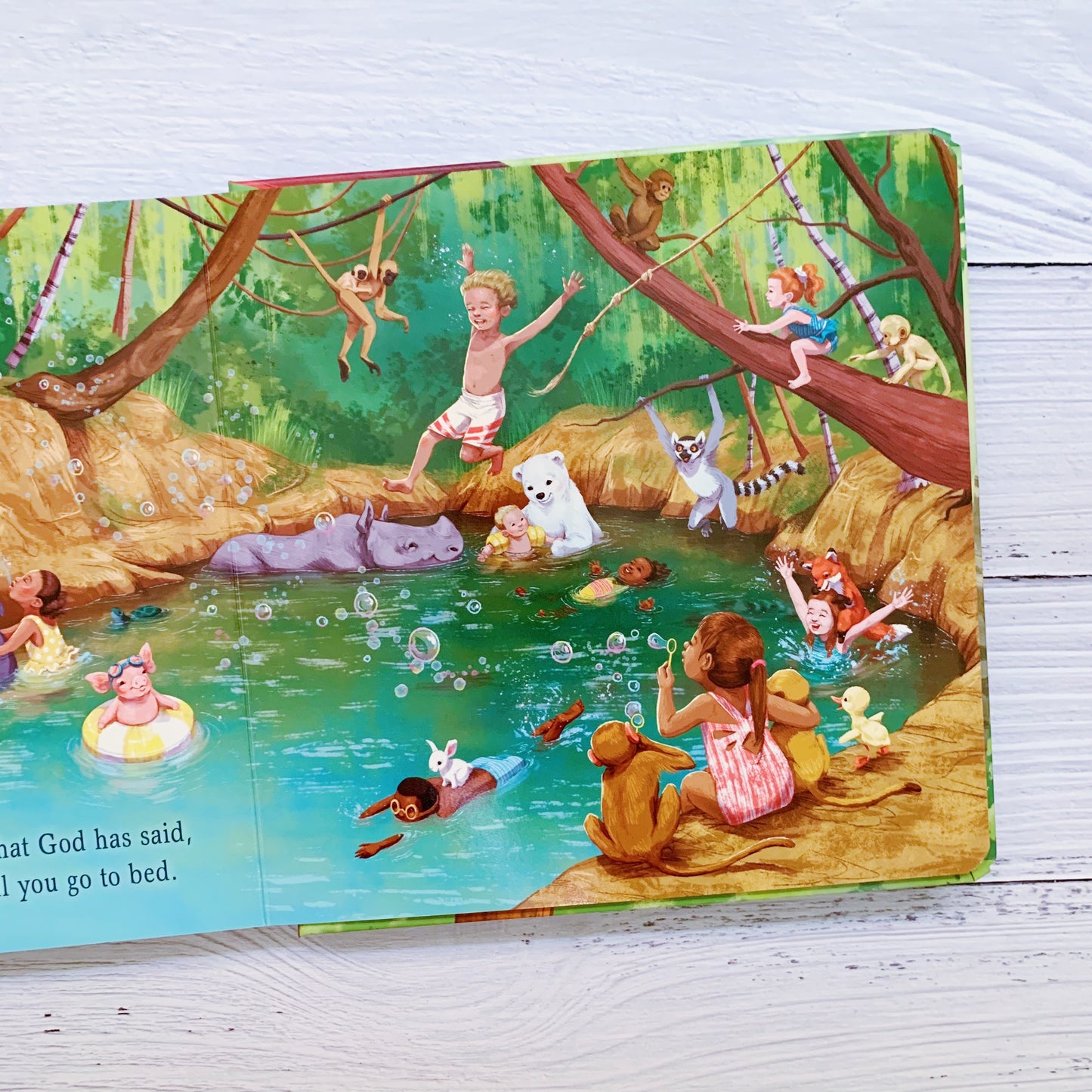 Don’t Forget to Remember – Christian board book about God’s love and creation by Ellie Holcomb.