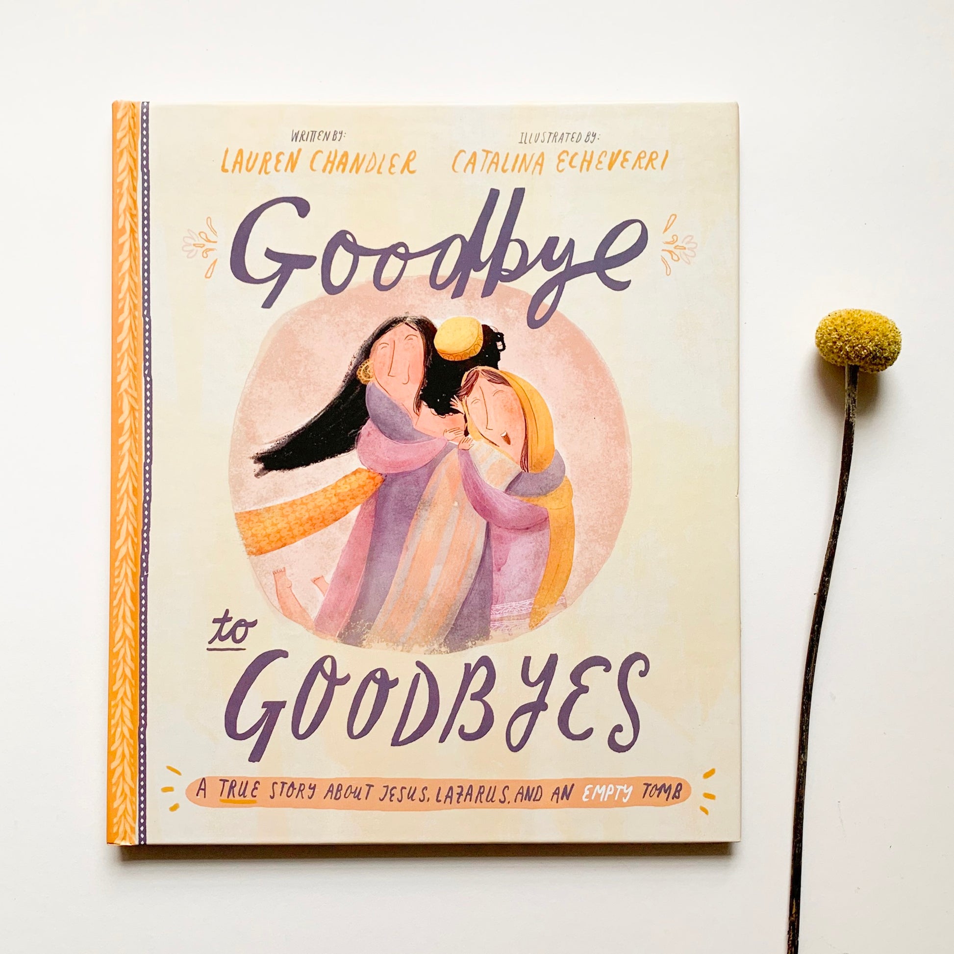 Goodbye to Goodbyes Christian children’s Bible storybook – story of Jesus, Lazarus, and God’s promise of eternal life.