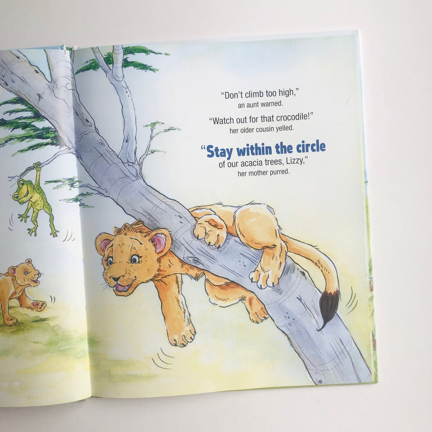 Lizzy the Lioness - tiny-seeds-bookshop-christian-books-for-kids