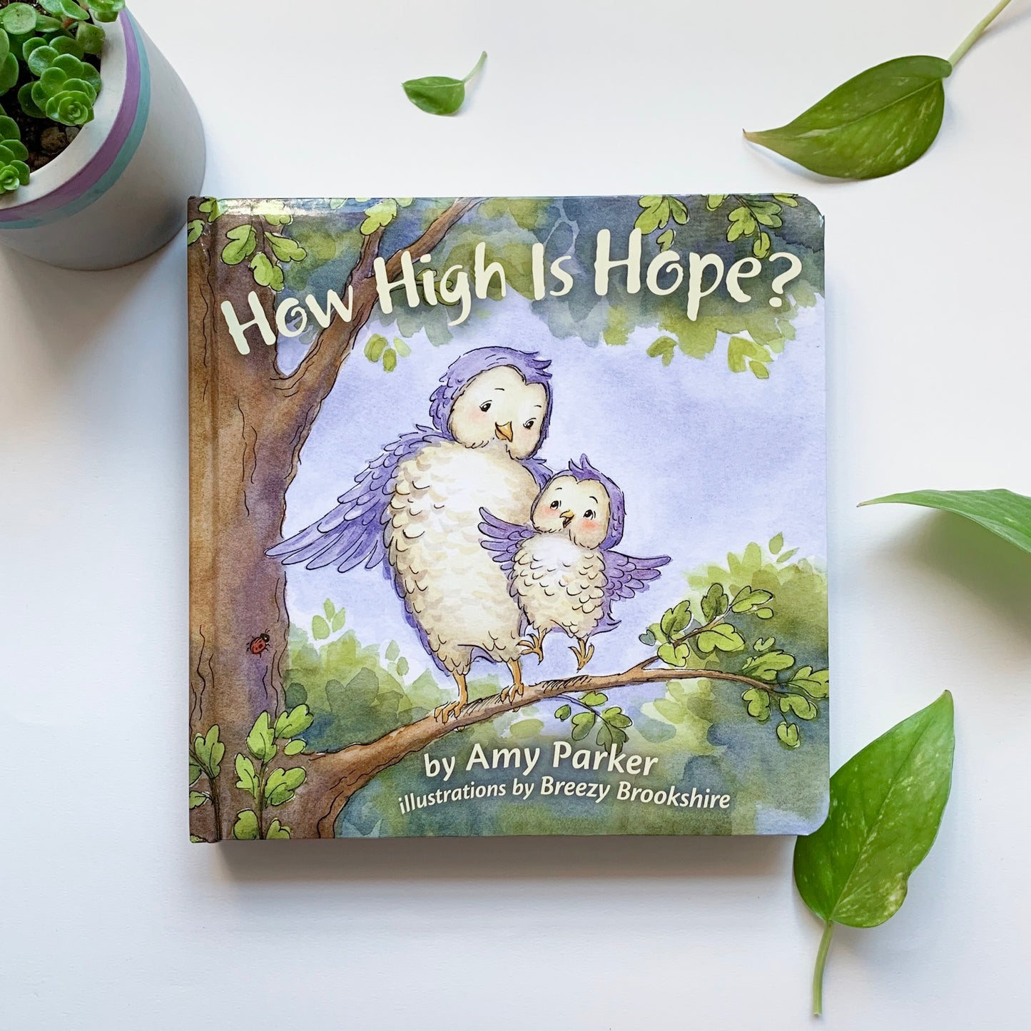 How High Is Hope - tiny-seeds-bookshop-christian-books-for-kids