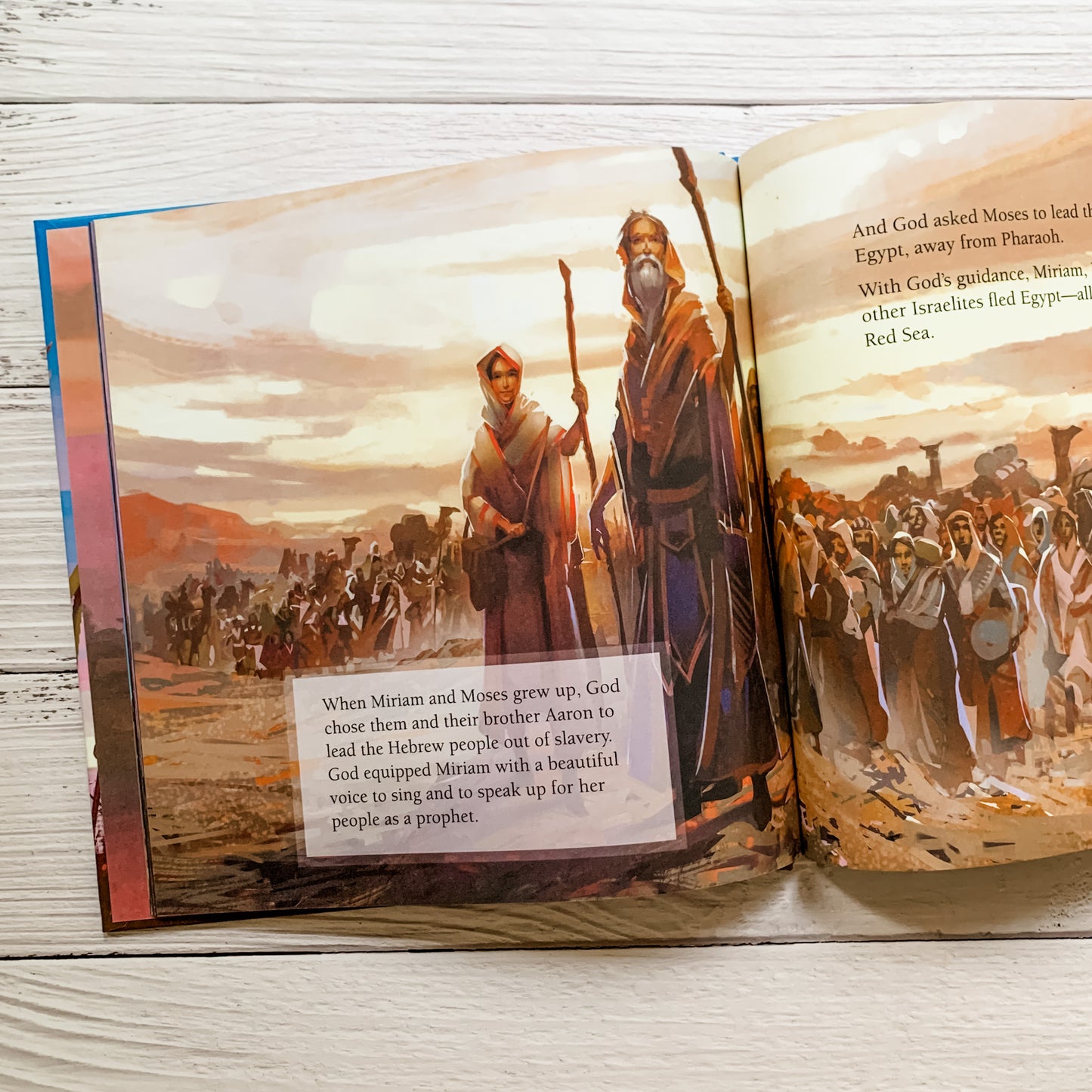 A Brave Big Sister : A Bible Story About Miriam